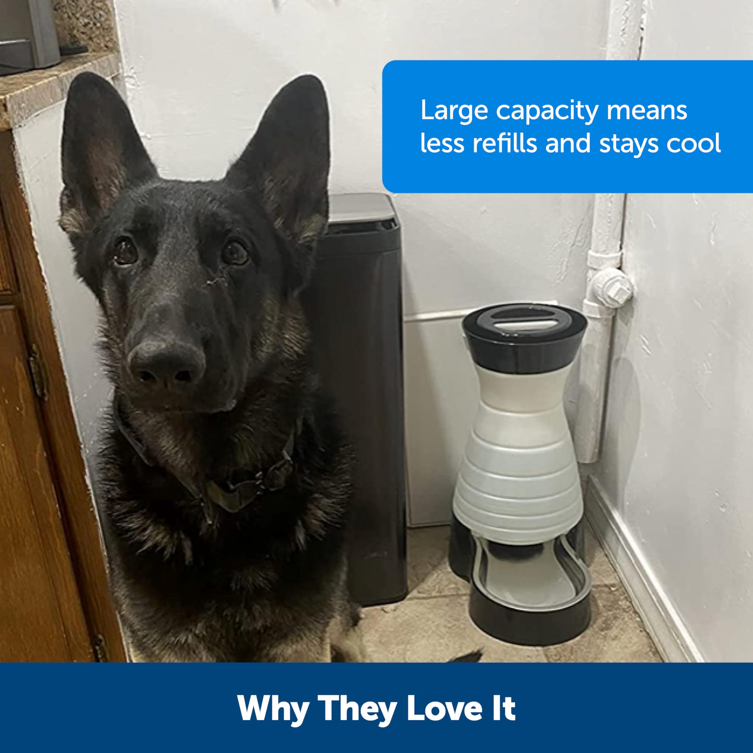 Petsafe Healthy Pet Water Station - Medium, 128 Oz Capacity - Gravity Pet Water Fountain, Automatic Cat Water Fountain, Dog Water Fountain, Water Dispenser - Removable Stainless Steel Bowl Included