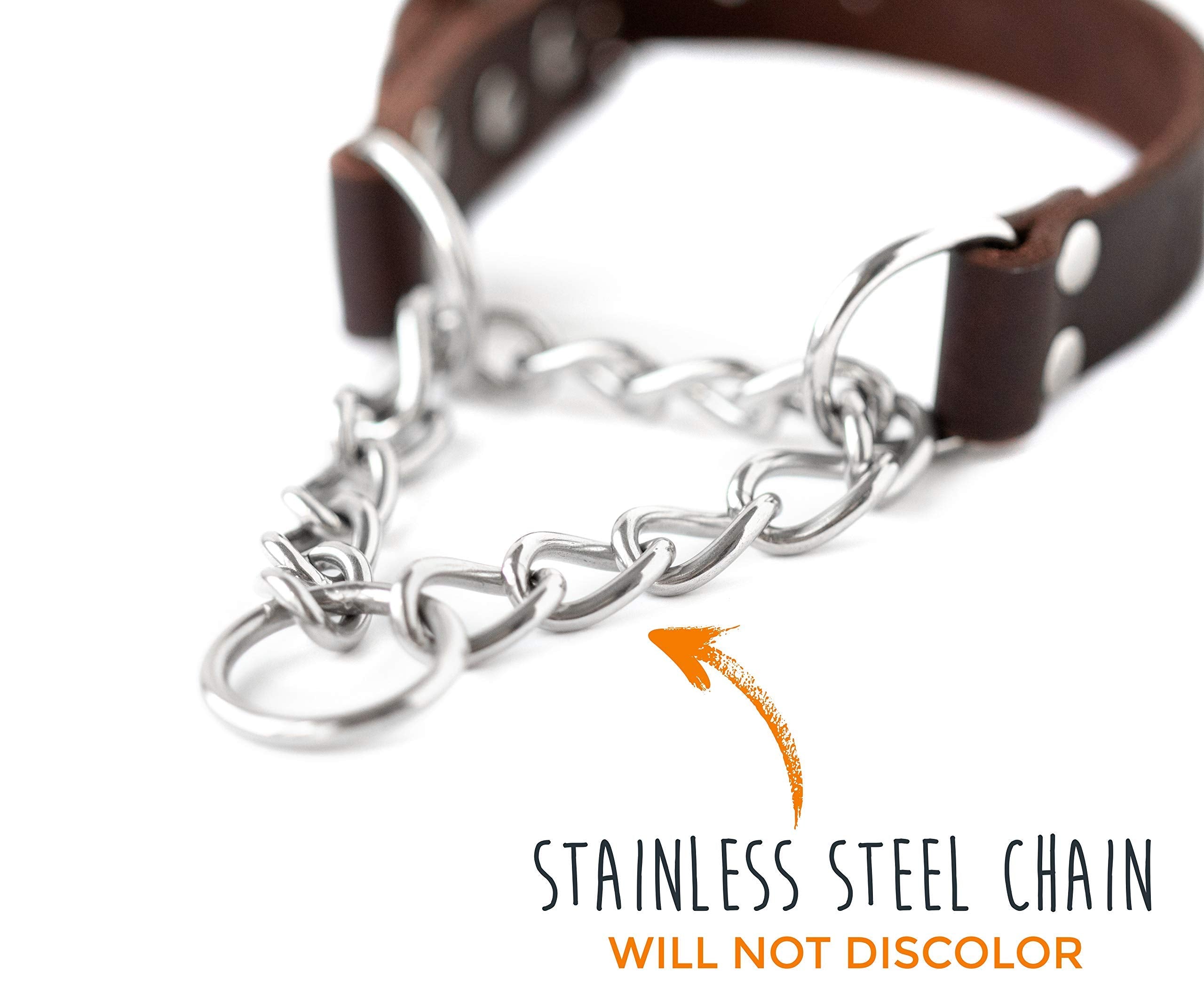 Mighty Paw Martingale Dog Collar - No Pull, Brown Leather, Medium Size, Stainless Steel Chain