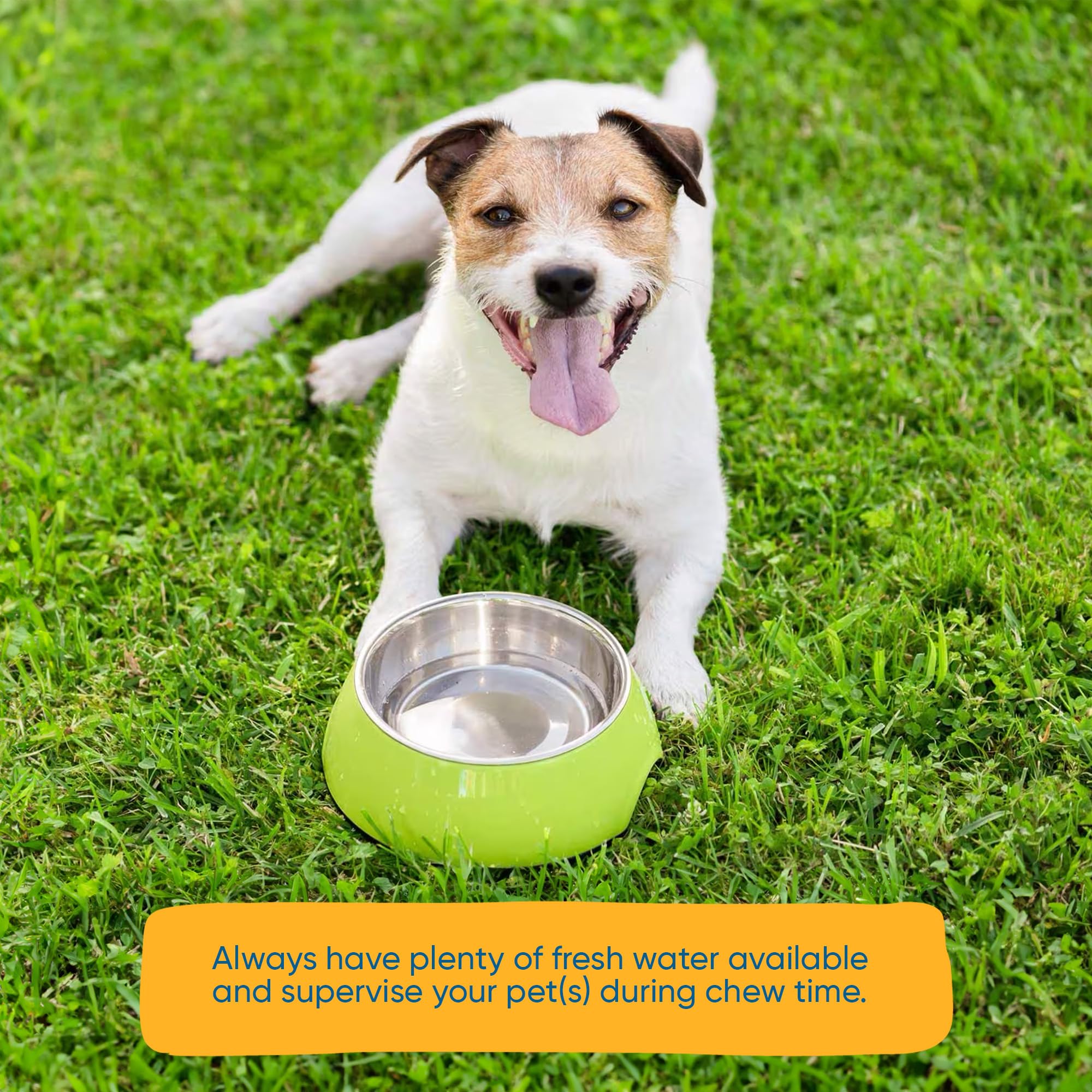 123 Treats Rawhide Chips, Premium Dog Chews from Natural Grass Fed Livestock with No Hormones, Additives or Chemicals, Tasty Lon