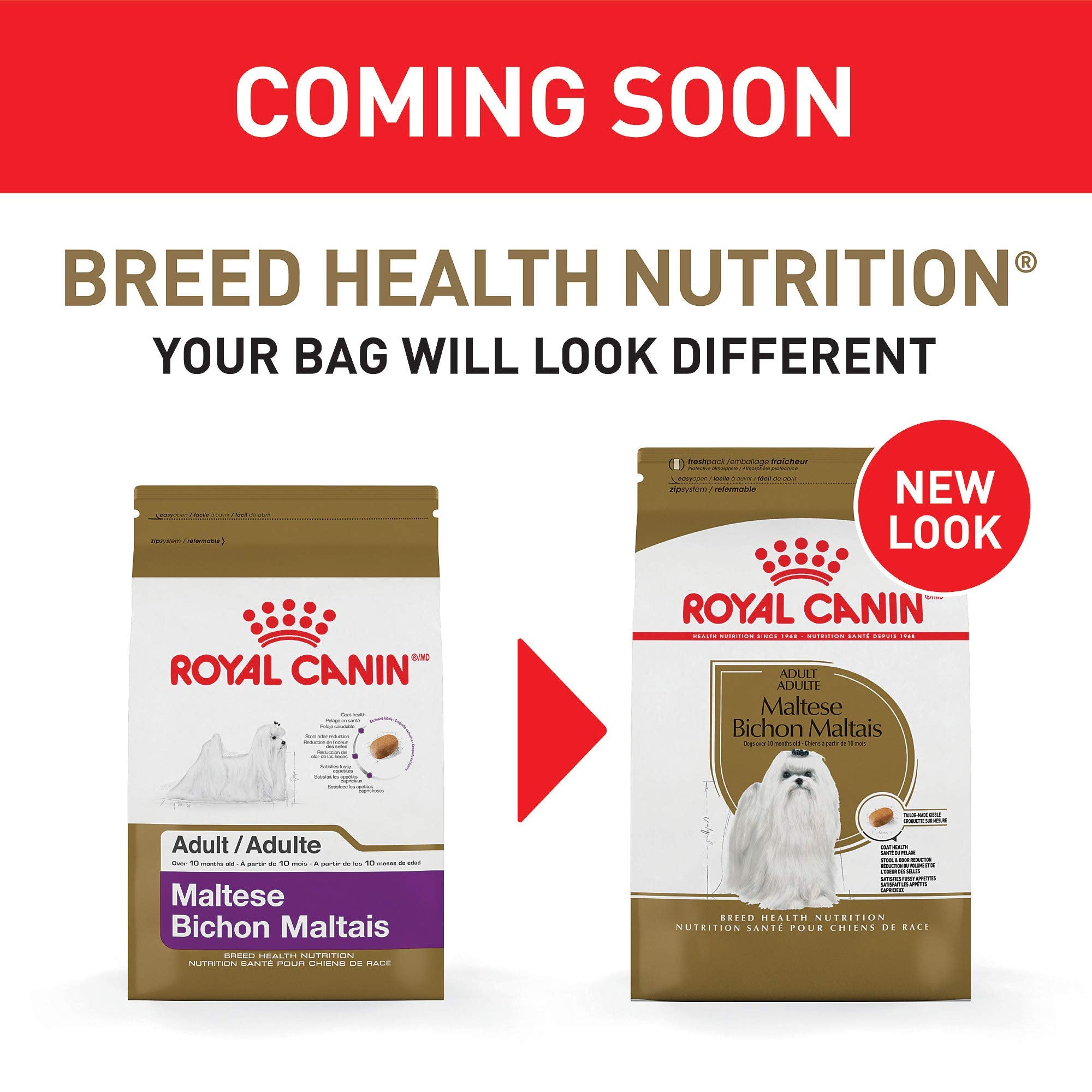 Royal Canin Maltese Adult Dry Dog Food, 10 lb bag