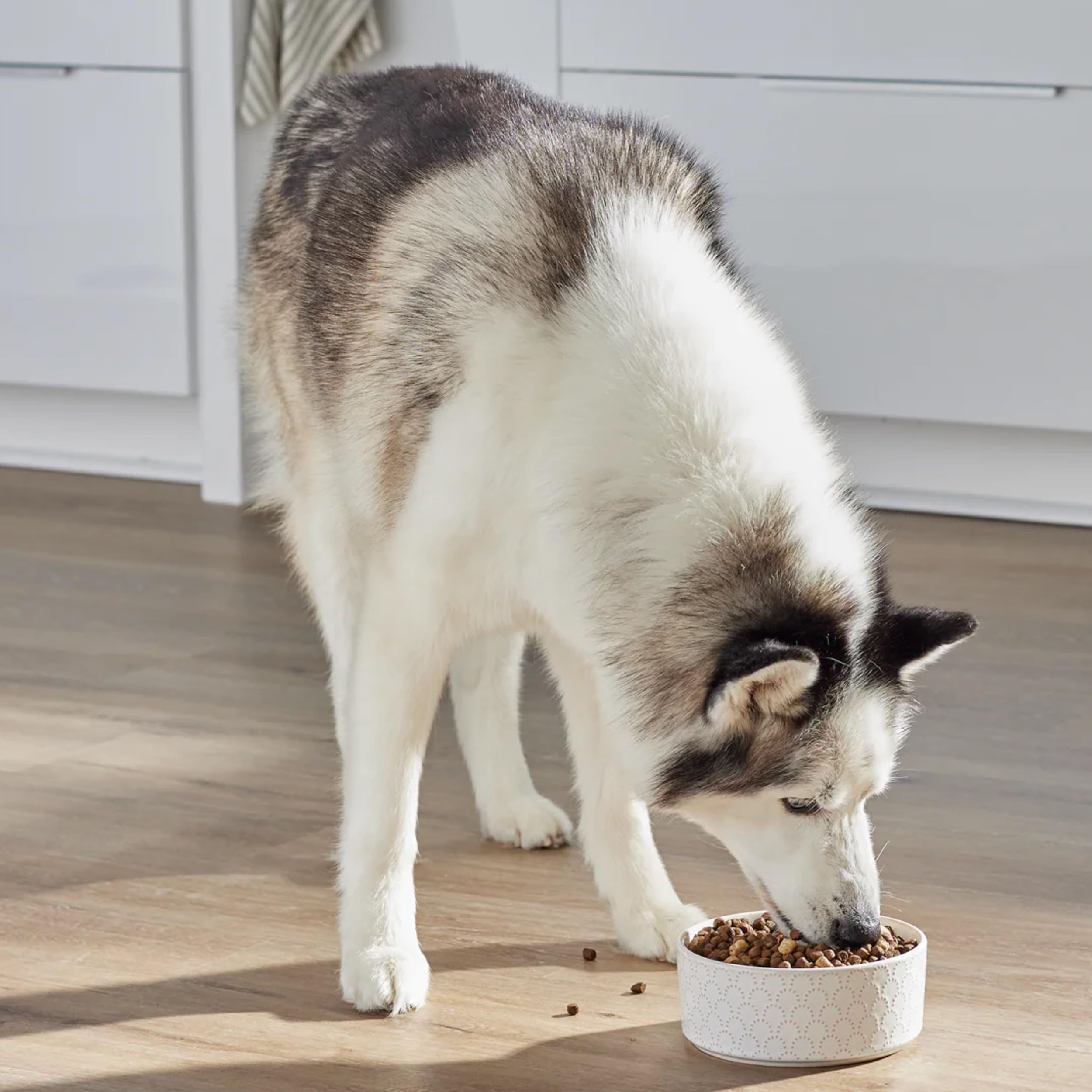 Open Farm, RawMix Dry Dog Food with Ancient Grains, Protein-Packed Kibble Coated in Bone Broth with Freeze Dried Raw Chunks, Pol