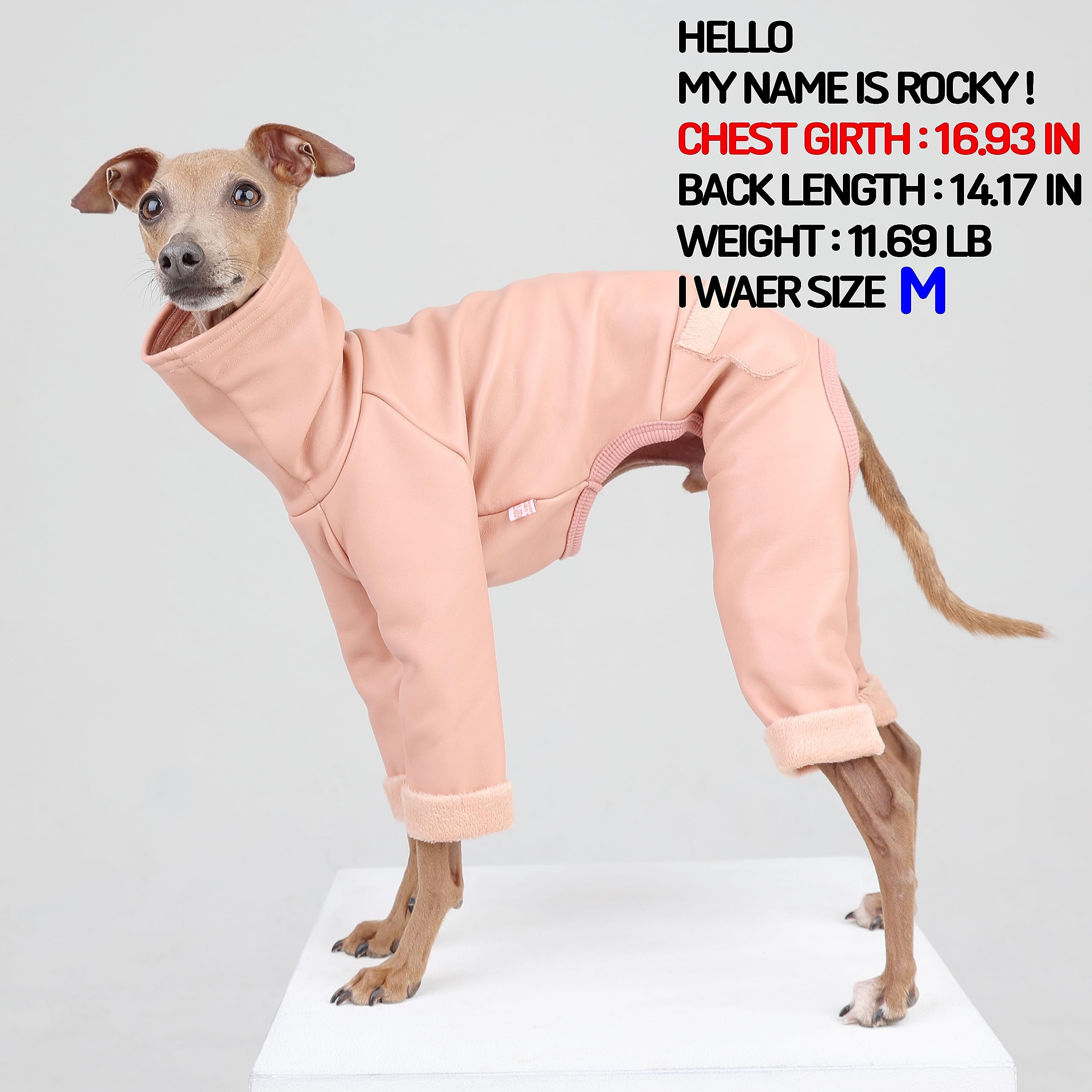D Doggy Star Italian Greyhound Coat Stretchable Aartificial Leather Fleece Lining Clothes Whippet For Dog (M,Leather Pink)