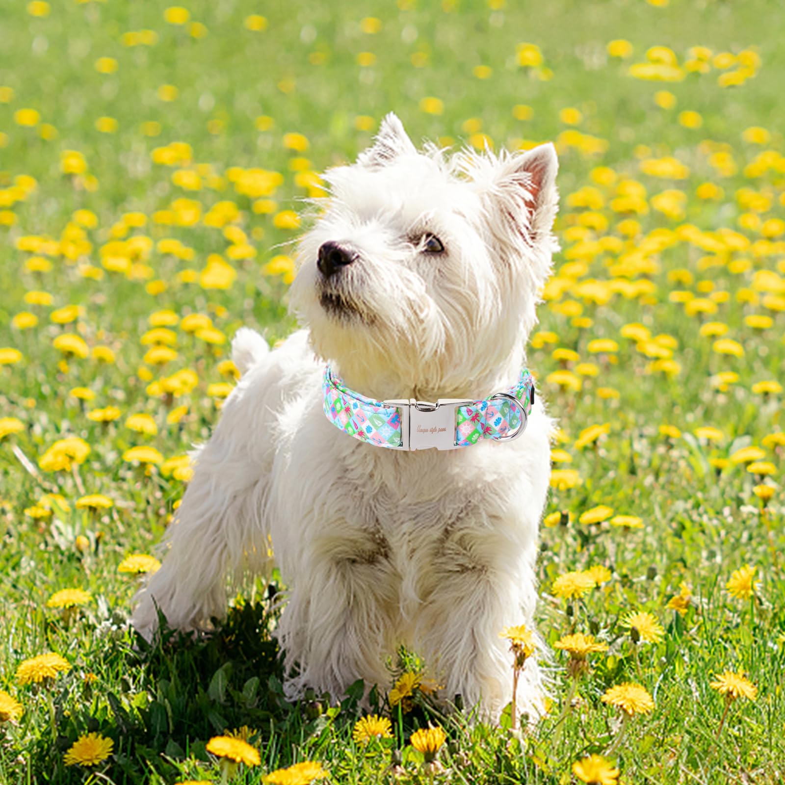 Unique Style Paws Summer Dog Collar, Cotton Girl Dog Collar With Boat Pattern, Comfy&Breathable Puppy Collar For Dog Gifts