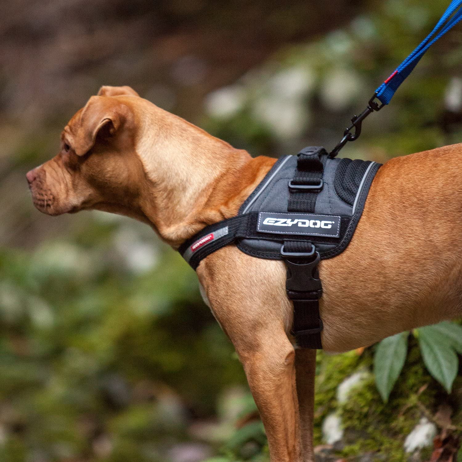 Ezydog Convert Trail-Ready Outdoor Adjustable Dog Harness - Perfect For Hiking, Walking, And Doubles As A Service Dog Vest - Superior Comfort Design With A Durable Traffic Handle (Xx-Large, Charcoal)