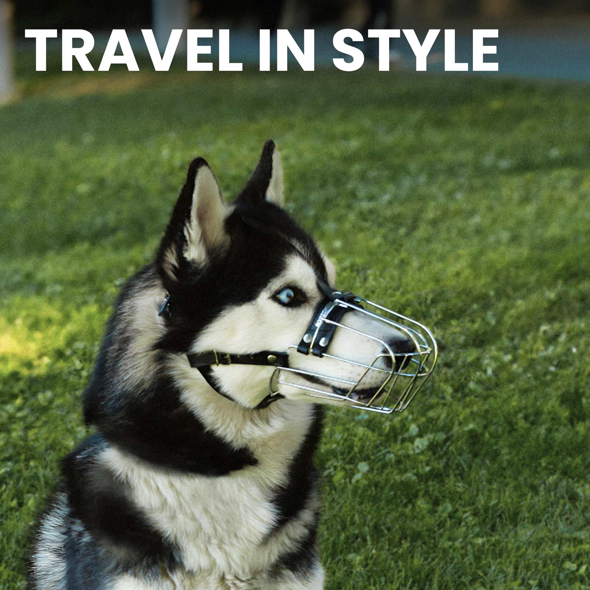 Bronzedog Dog Muzzle Adjustable Durable Metal Wire Basket For Large And Extra Large Dogs With Leather Straps Breathable, Drinkable, Training, Prevents Biting (Stainless Steel, Husky & Doberman)