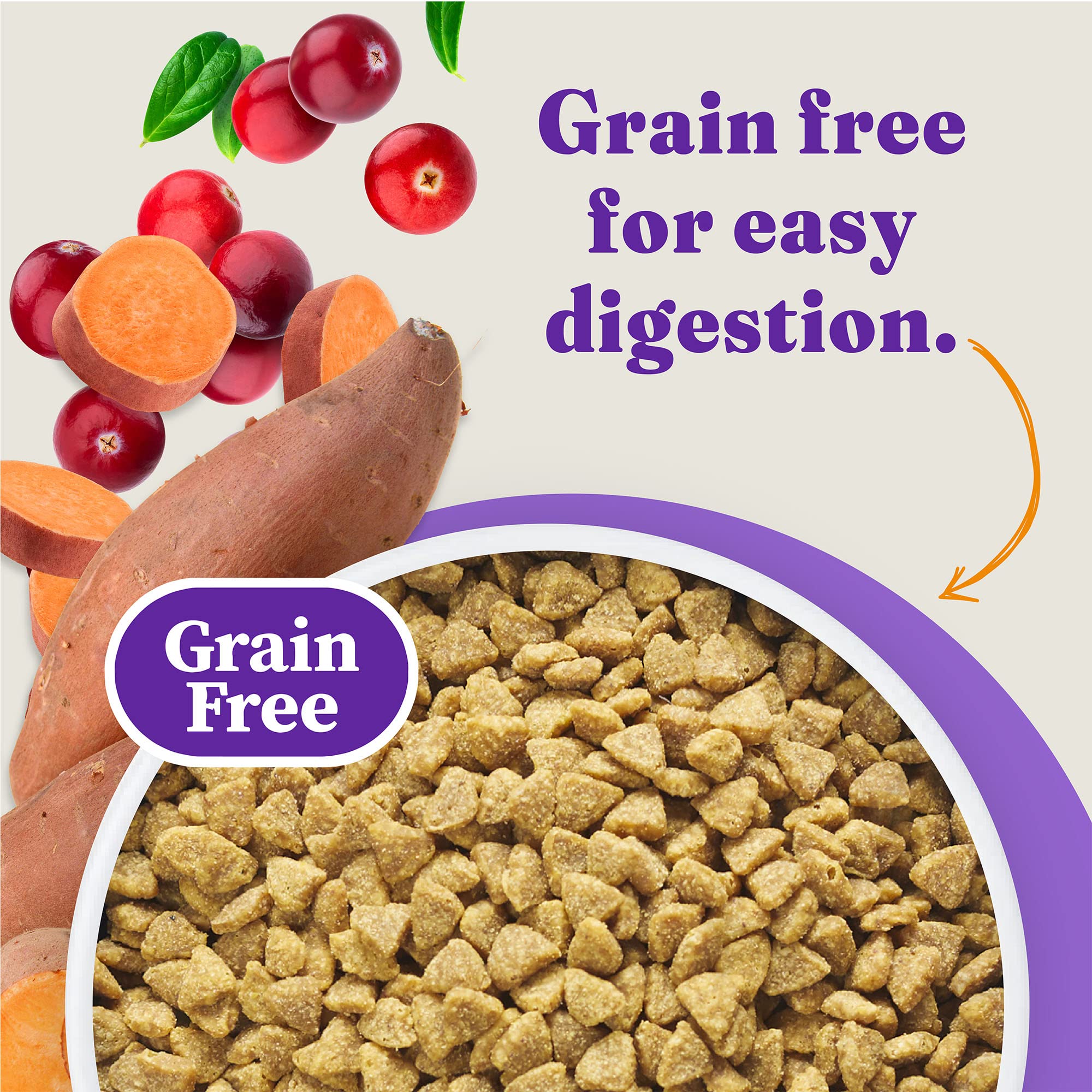 Halo Holistic Cage Free Chicken Cat Food, Grain Free Dry Cat Food, For Healthy Weight Support, Kibble for Indoor Cats, 6 lb Bag