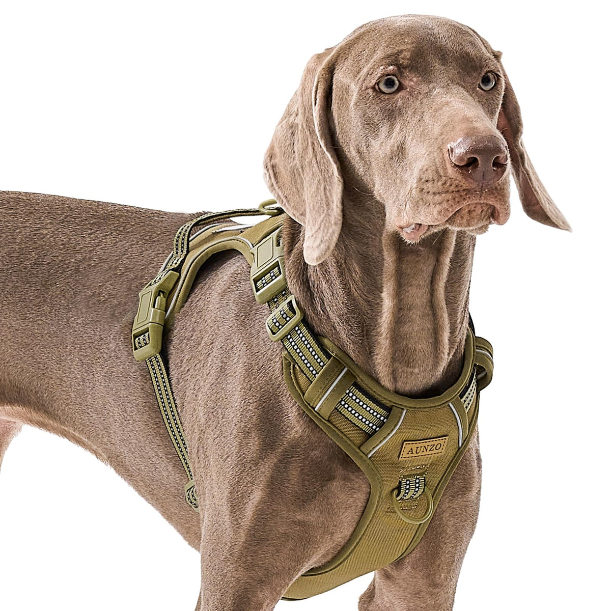 Adjustable No-Pull Reflective Soft Inescapable Dog Vest Harness For Big Dog Breeds, Siberian Husky Labrador Golden Retriever, Br