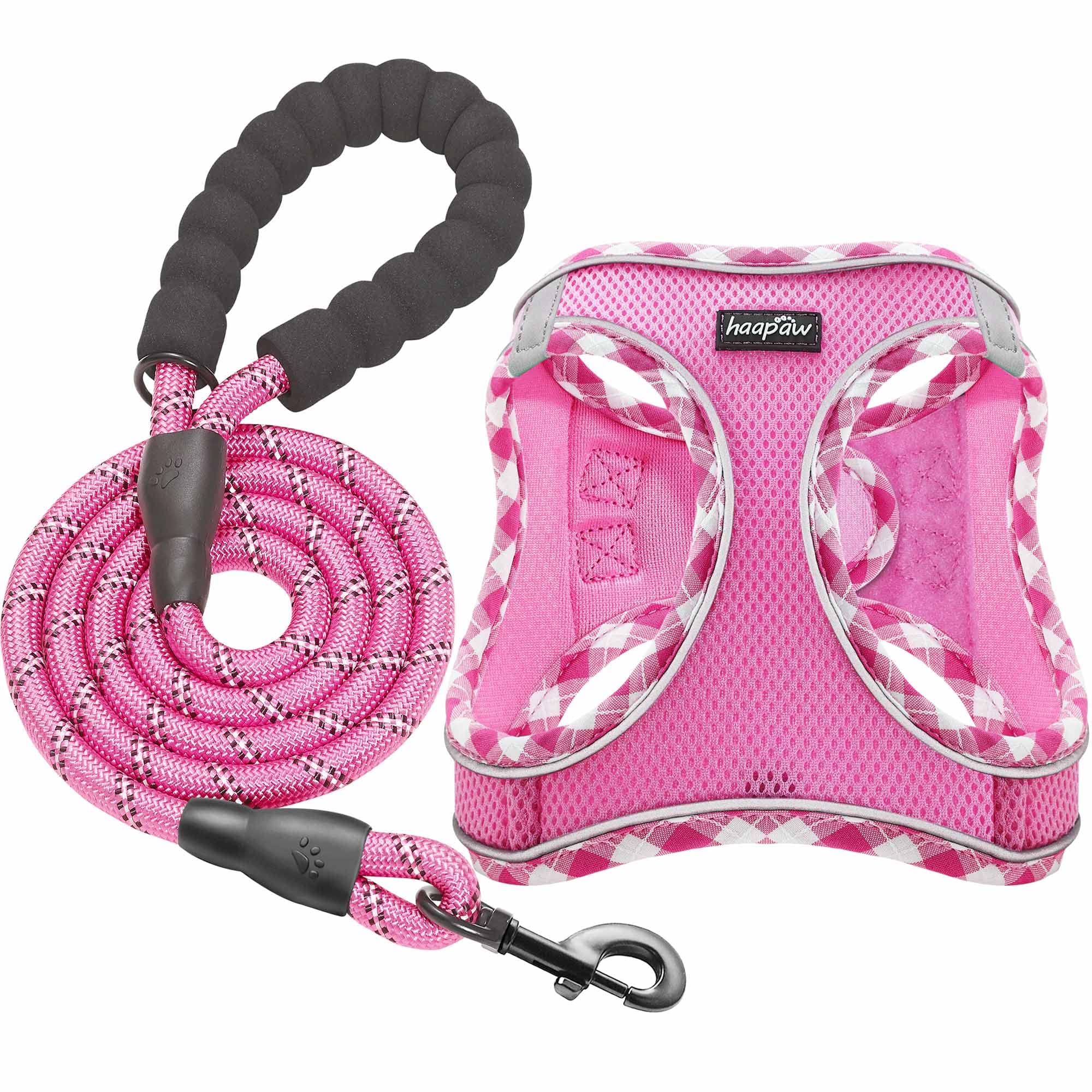 Haapaw Dog Harness With Leash Set, No Pull Adjustable Reflective Step-In Puppy Harness With Thickened Padded Vest For Extra-Small/Small Medium Dogs