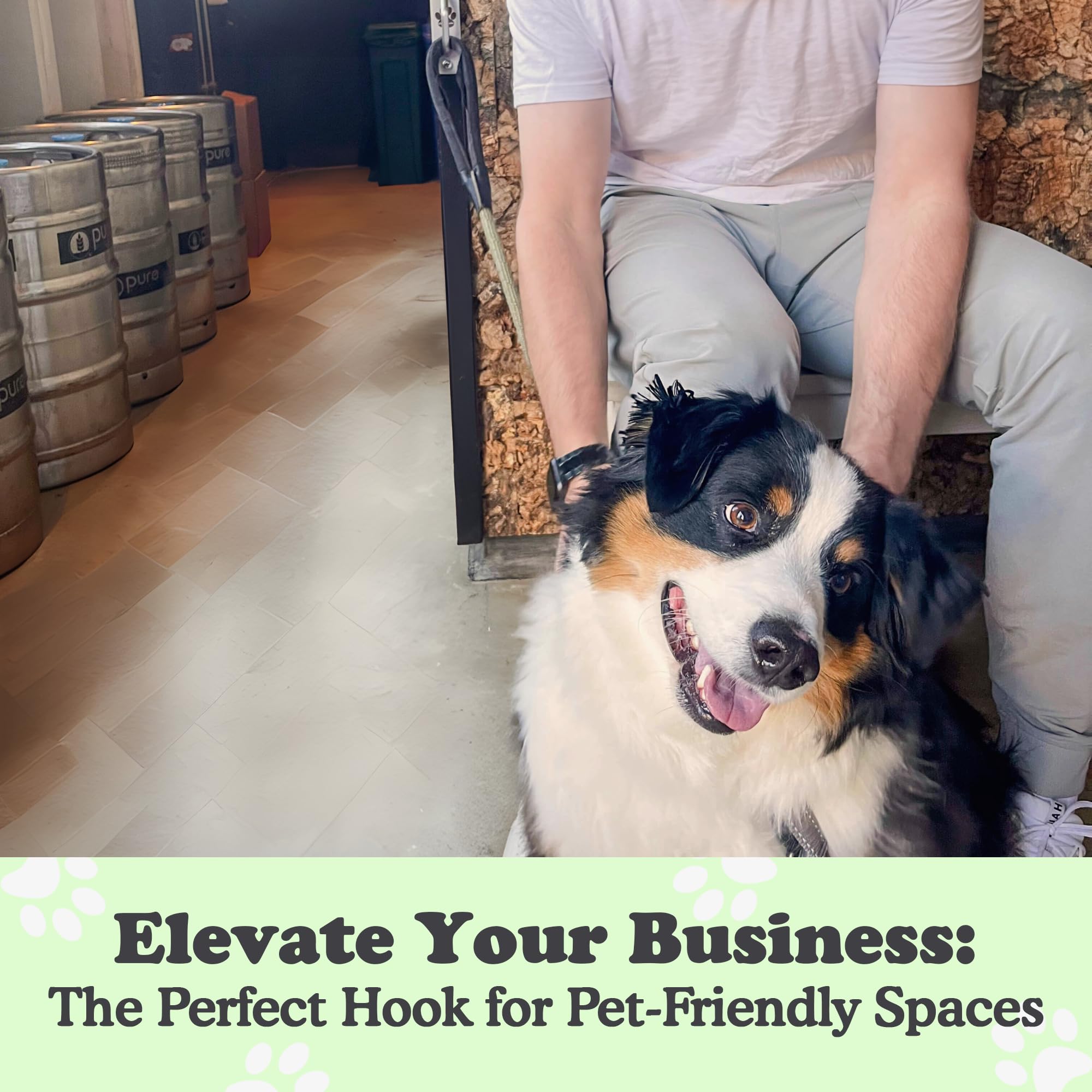 Canine Hitch- Secure Dog Leash Parking Mounted Indoor - Outdoor Wall Hook - Tie Out Stainless Steel Practical Lead Management Fo