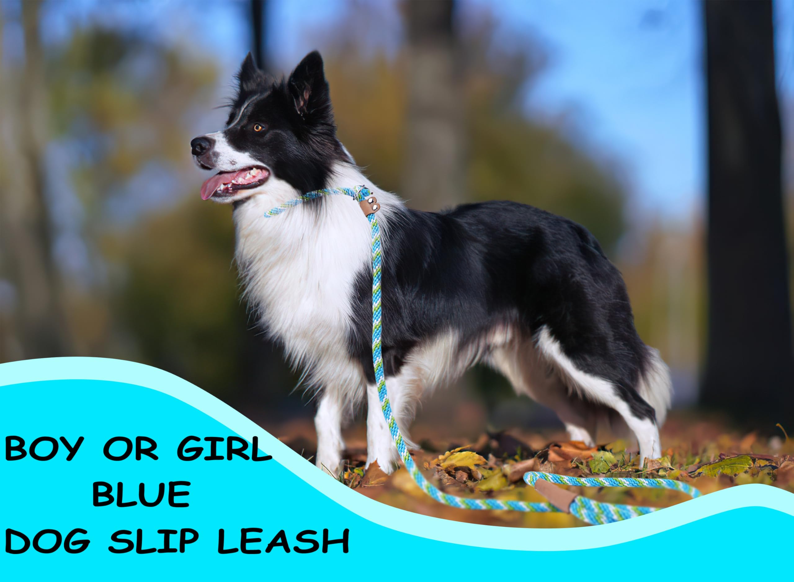 Slip Leads For Dogs 5 Ft Slip Leash Strong Dog Training Leash Lightweight Dog Slip Lead Comfortable Slip Lead Dog Leash Braided