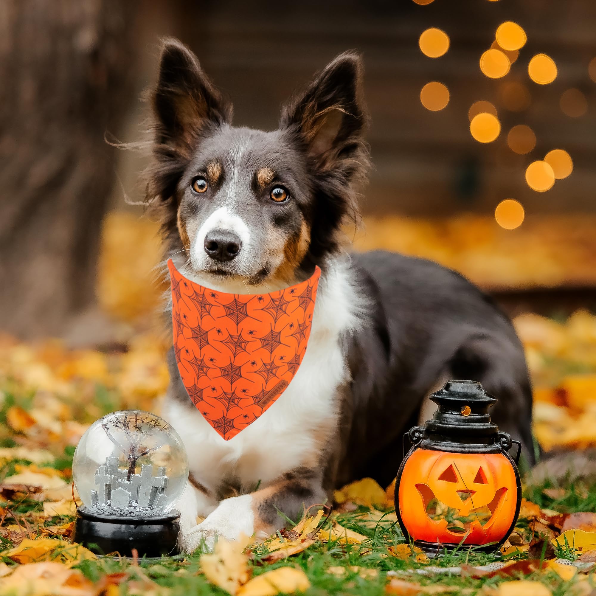 Adoggygo Halloween Dog Bandana, Spider Web Ghost Design Dog Scarf, Premium Durable Fabric, Orange Dog Halloween Bandanas For Medium Large Dogs Pets (Large, Halloween)