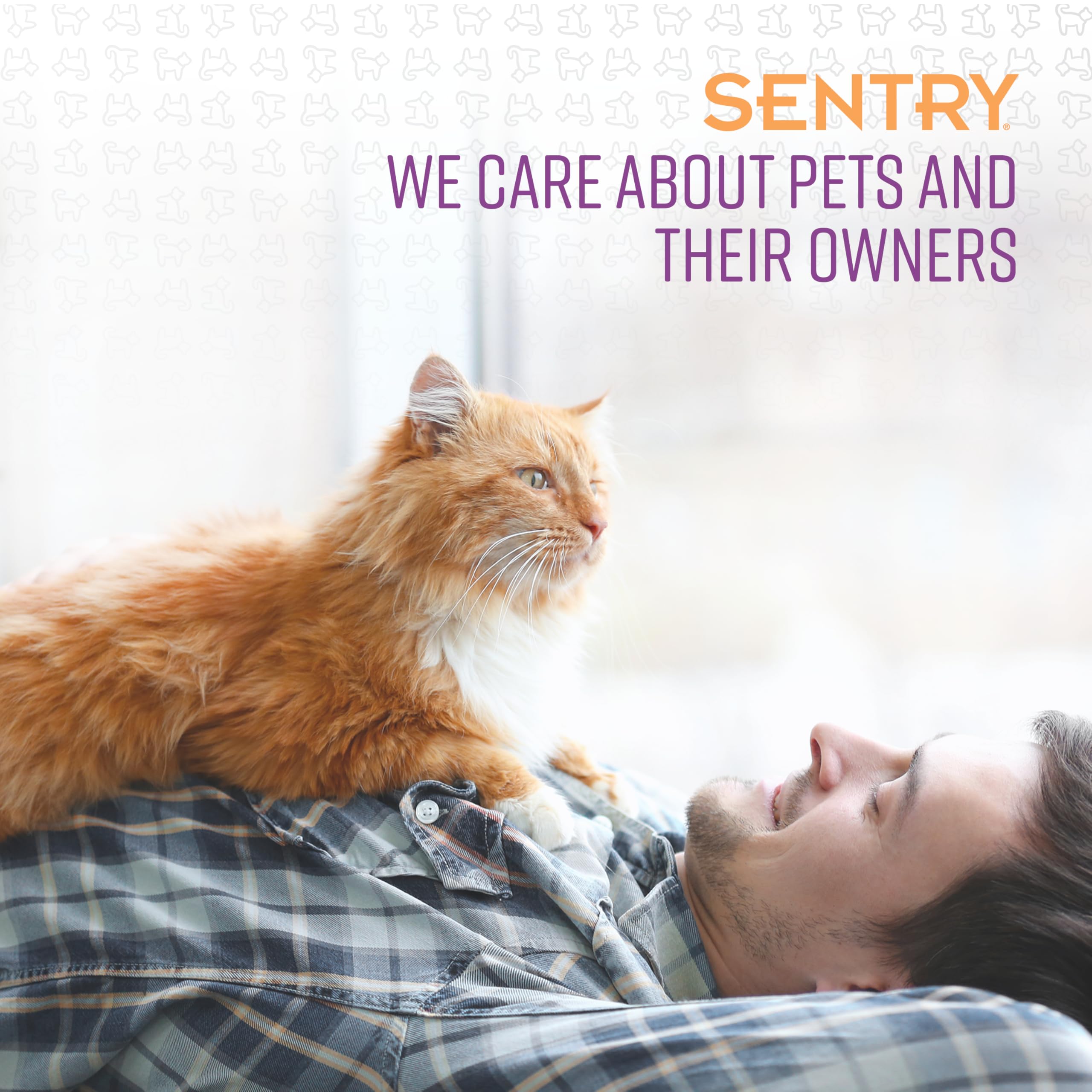 Sentry Pet Care Stop That! Behavior Correction Spray For Cats, Easy Spray Application, Noise And Pheromones Help Eliminate Unwanted Behaviors Including Scratching And Aggression