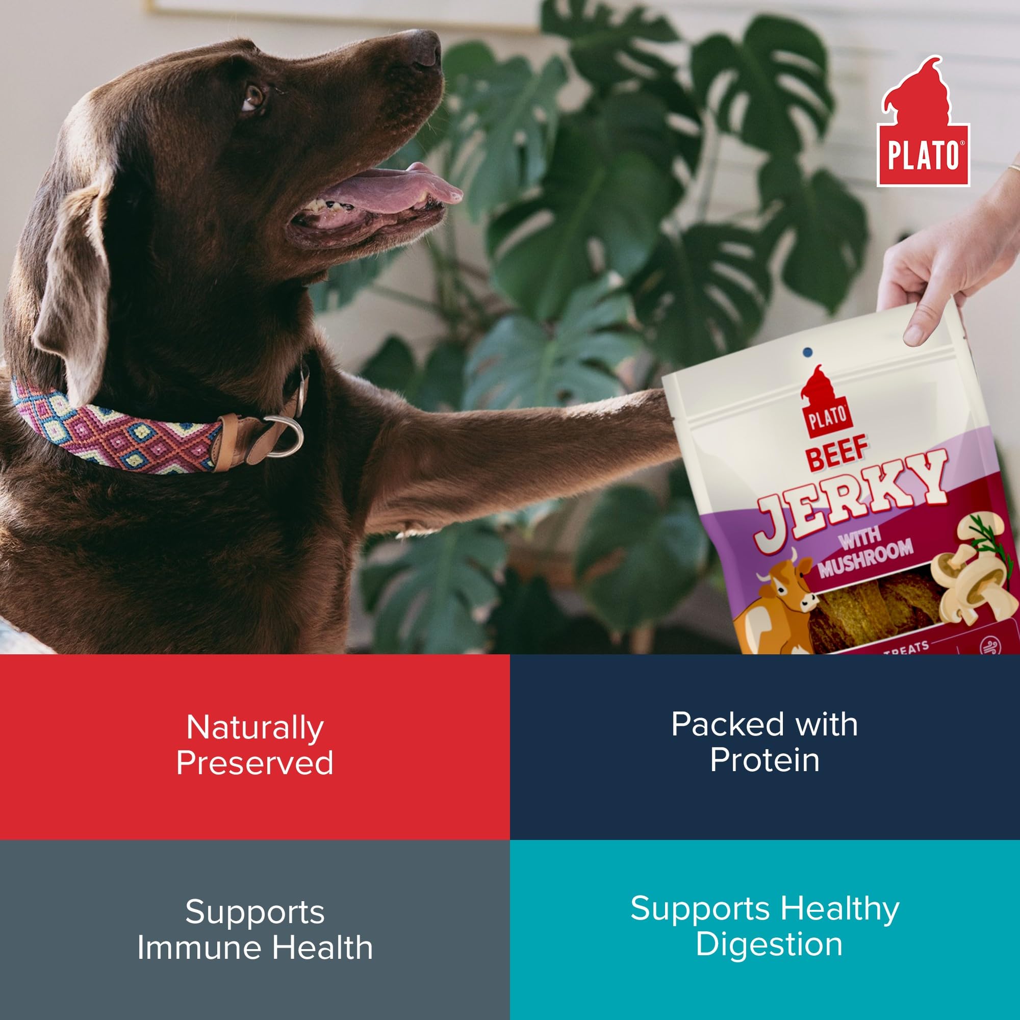PLATO Pet Treats Jerky Dog Treats - Air-Dried Jerky for Dogs - Delicious, Real Meat Dog Treats - Grain Free - Supports Healthy D