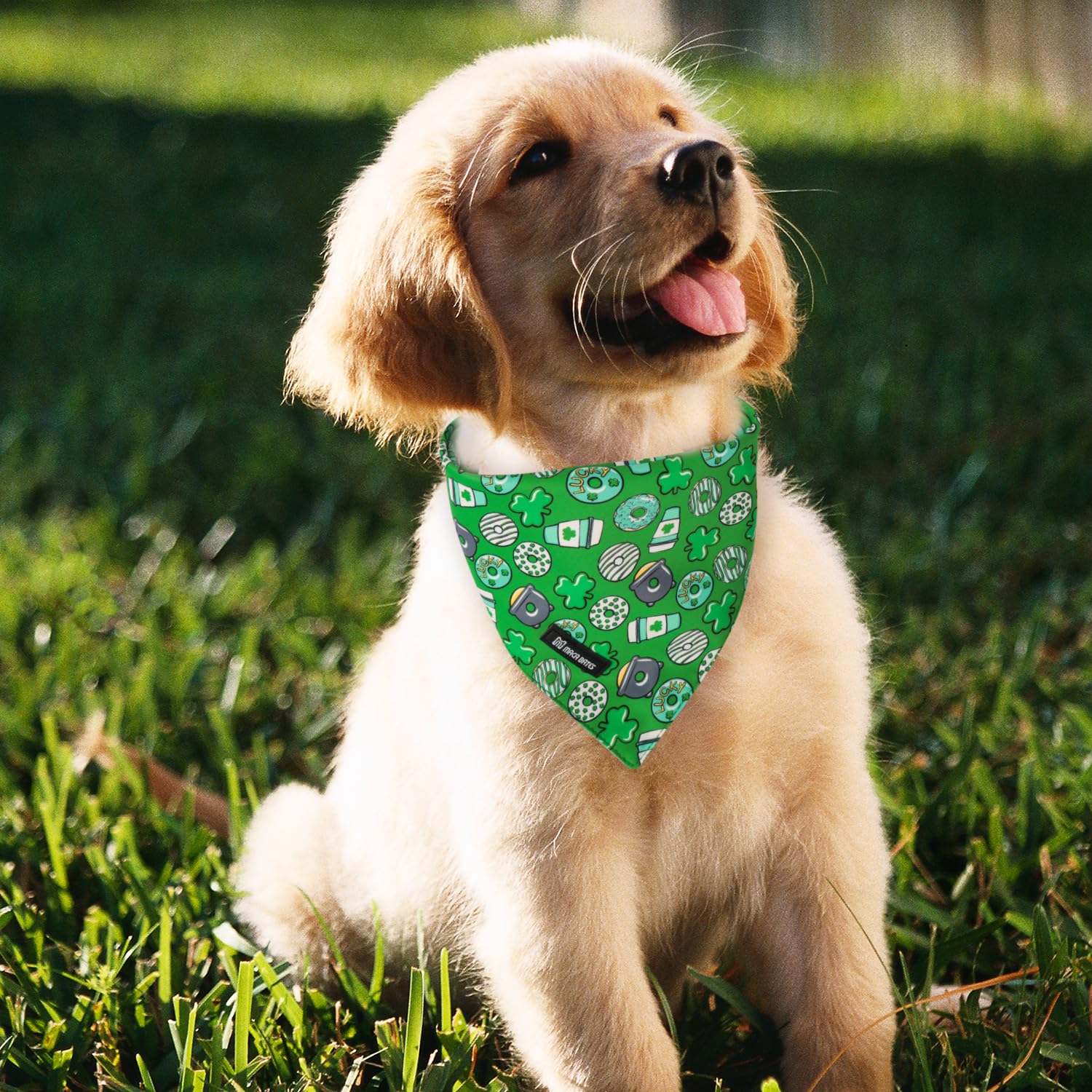 Maca Bates 2 Pack St Patricks Day Dog Irish Clover Bandana Bulk Saint Patrick'S Shamrock Clovers Green Dogs Scarf Soft Puppy Ban