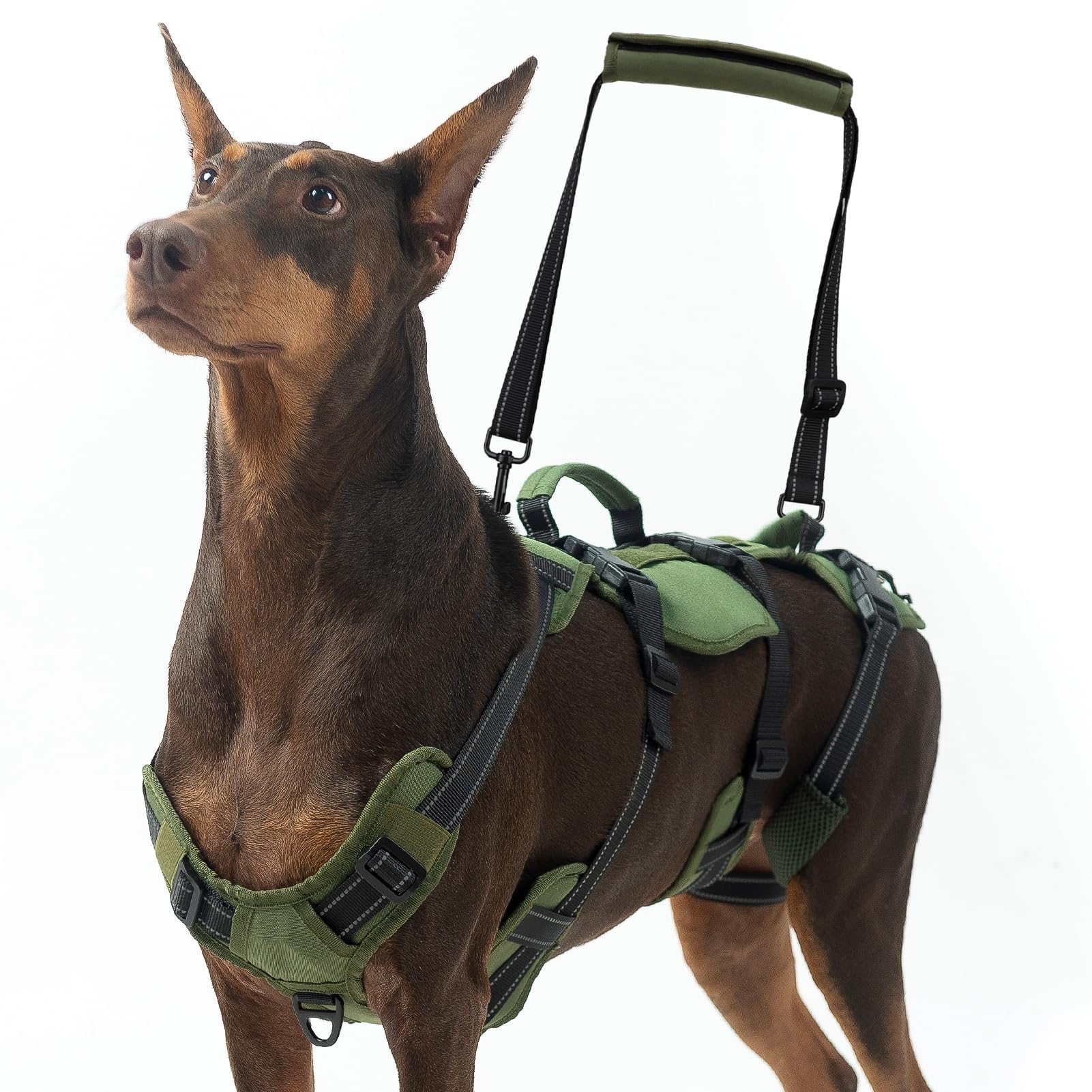 Bingpet Dog Lift Harness For Large Dogs,Full Body Support Rehabilitation Dog Sling Carrier With Handles,Reflective Multifunction