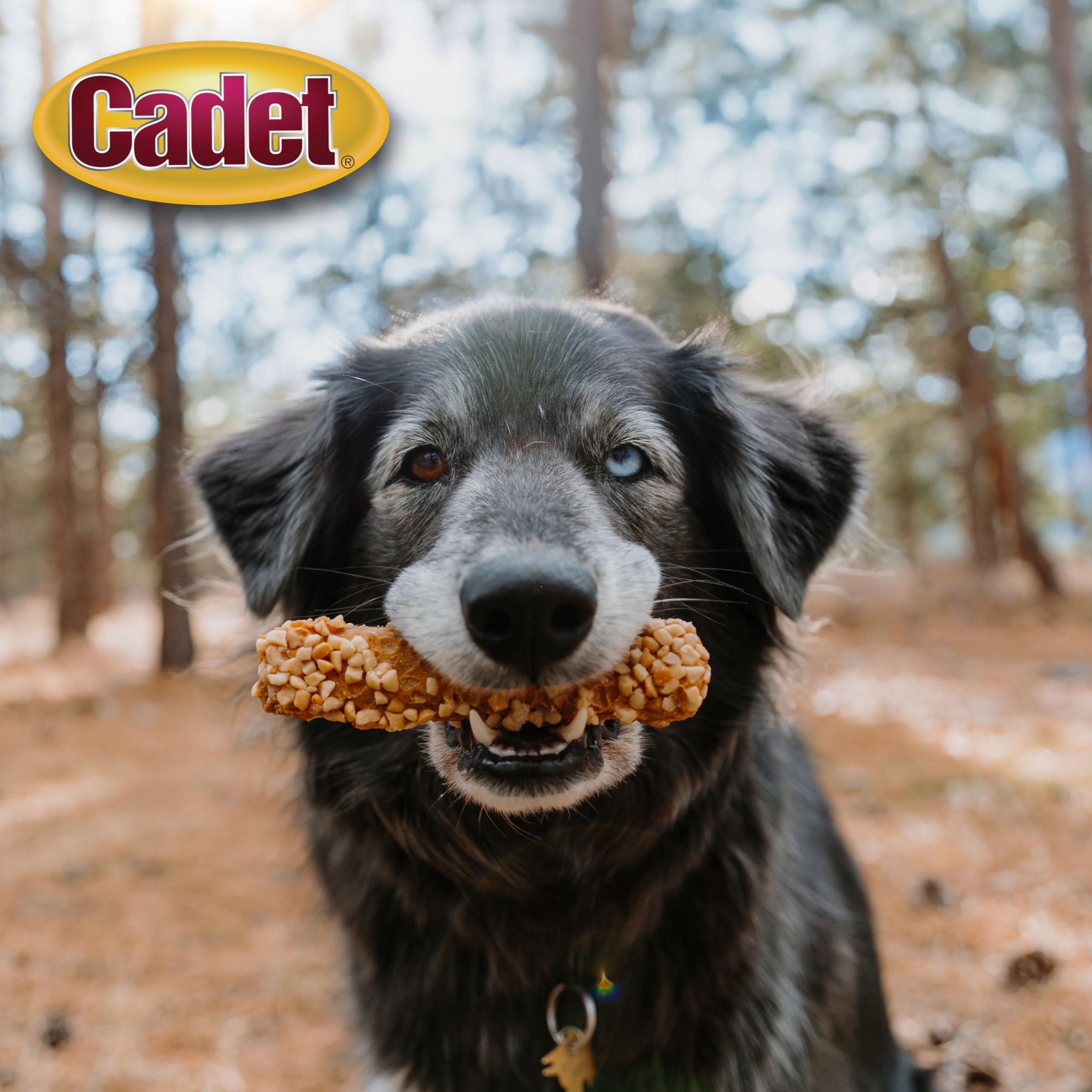 Cadet Chewalicious Layered N Dipped with Peanuts, Rawhide-Free Dog Chews, Limited-Ingredient & Long-Lasting Chew Treats for Dog