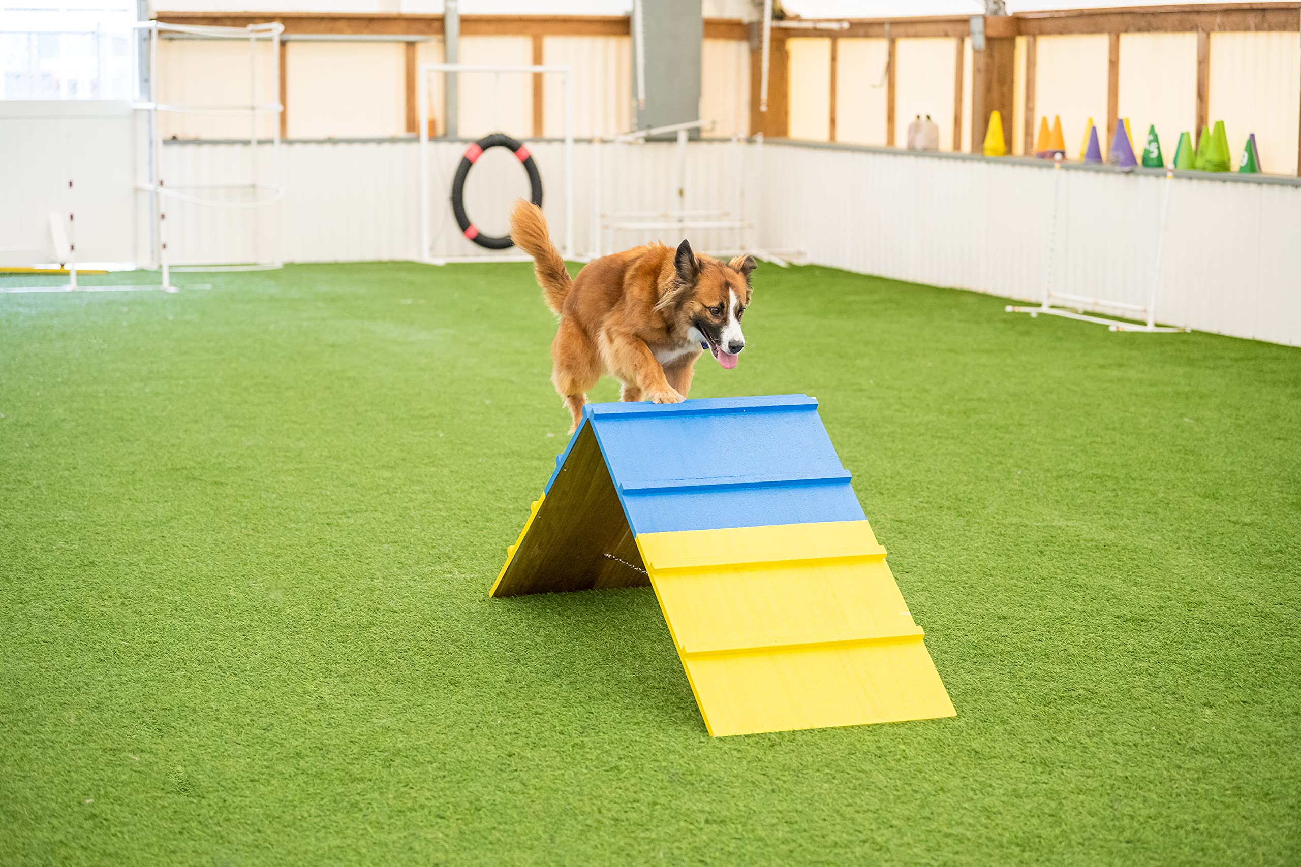 Better Sporting Dogs Agility A-Frame | Dog Agility Equipment | Dog Agility Course Equipment