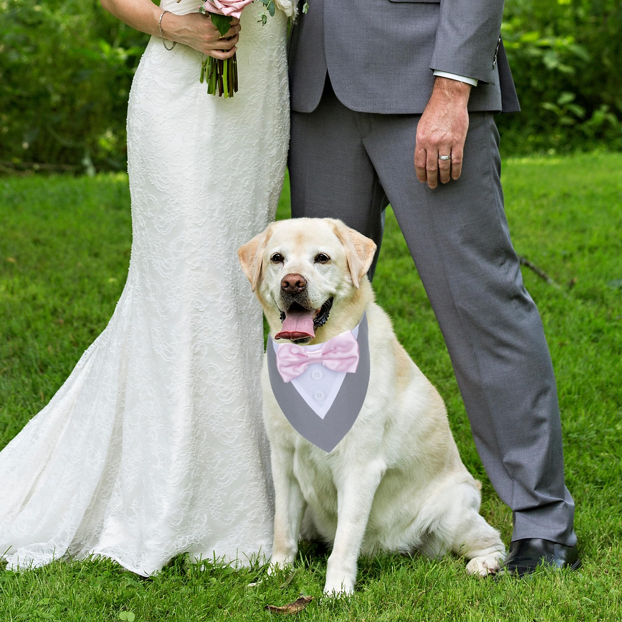 Adoggygo Formal Dog Tuxedo Wedding Pet Bandana Collar With Bowtie, Adjustable Birthday Wedding Formal Tux Costumes For Medium Do