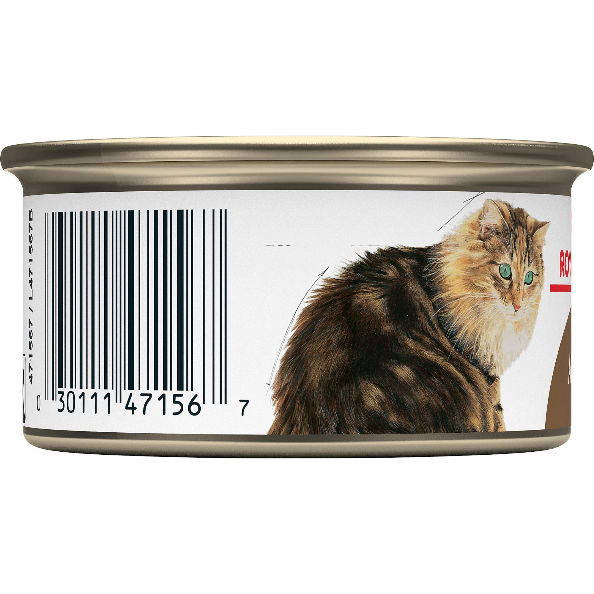 Royal Canin Feline Health Nutrition Aging 12+ Thin Slices In Gravy Canned Cat Food, 3 oz Can (Pack of 24)