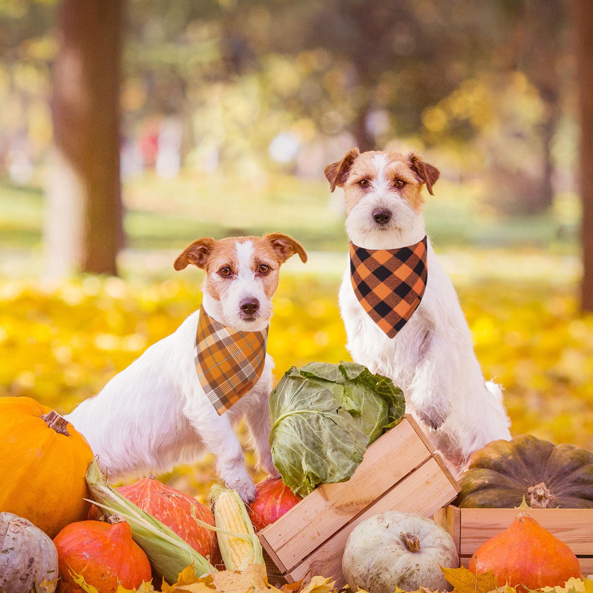 ADOGGYGO Fall Dog Bandanas 2 Pack, Halloween Thanksgiving Holiday Pet Scarf, Multiple Sizes Offered, Orange Plaid Fall Bandana f