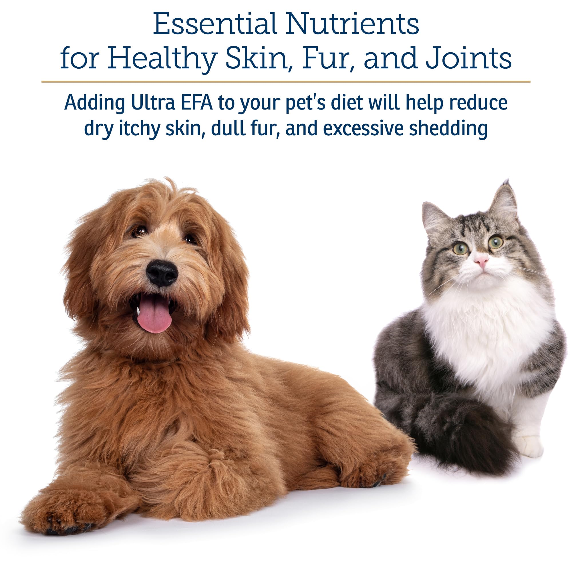 Rx Vitamins Ultra EFA Omega 3 Fish Oil for Dogs & Cats - Promotes Heart, Brain, and Joint Health with Vitamin E, Biotin, and Zin