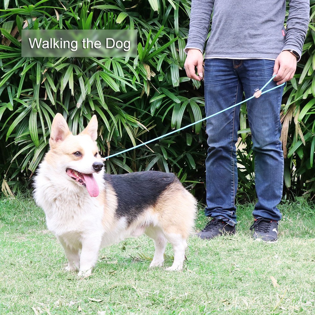 Grand Line Slip Lead Dog Leash, 5Ft Reflective Slip Rope, Puppy Training Walking Controlling Lead, Slip Collar Pet Leash For Small, Medium, Large Dogs (Blue, Small-1/4In X 5Ft)