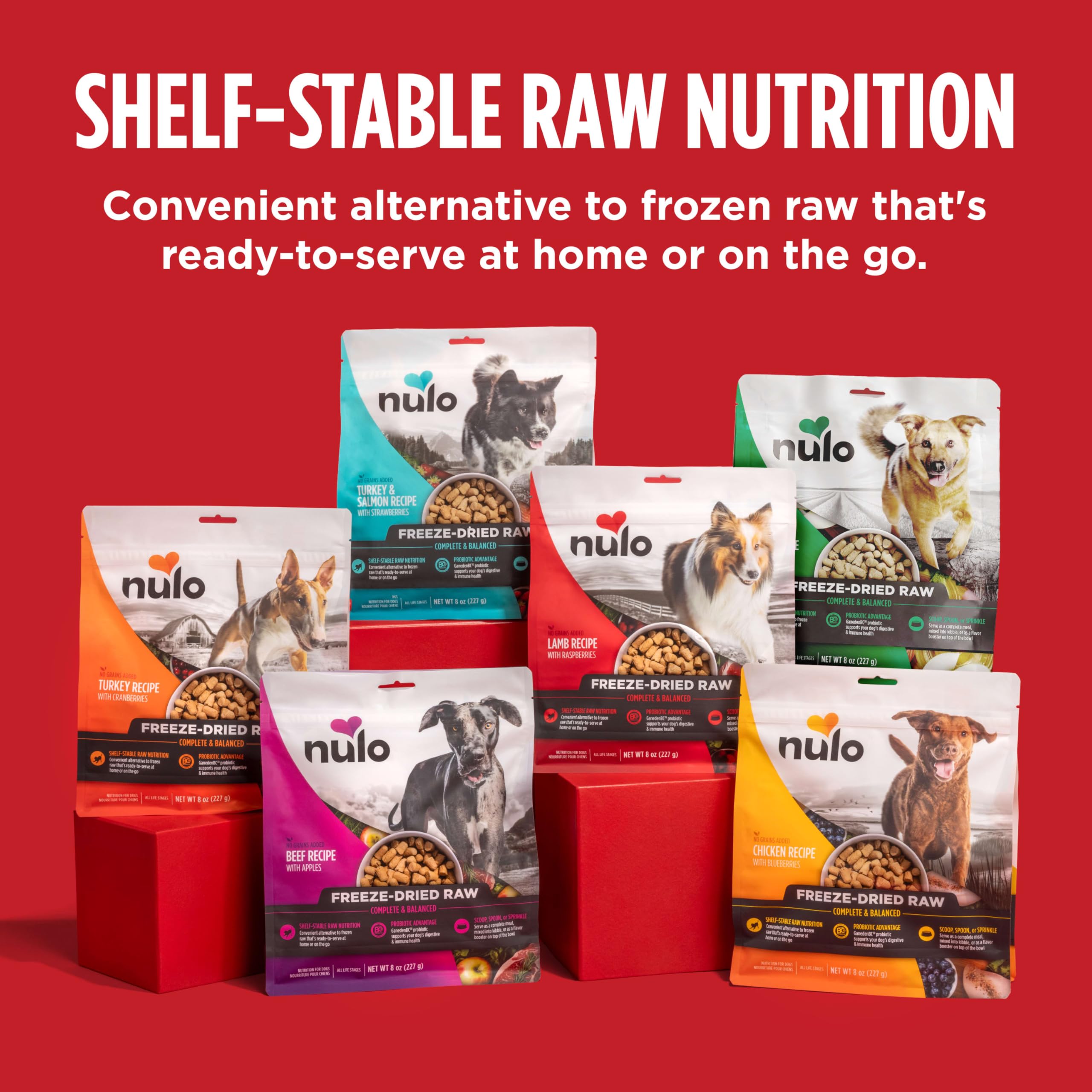 Nulo Freeze-Dried Raw Beef Recipe with Apples Complete and Balanced Dry Dog Food Kibble, 18 Ounce Bag