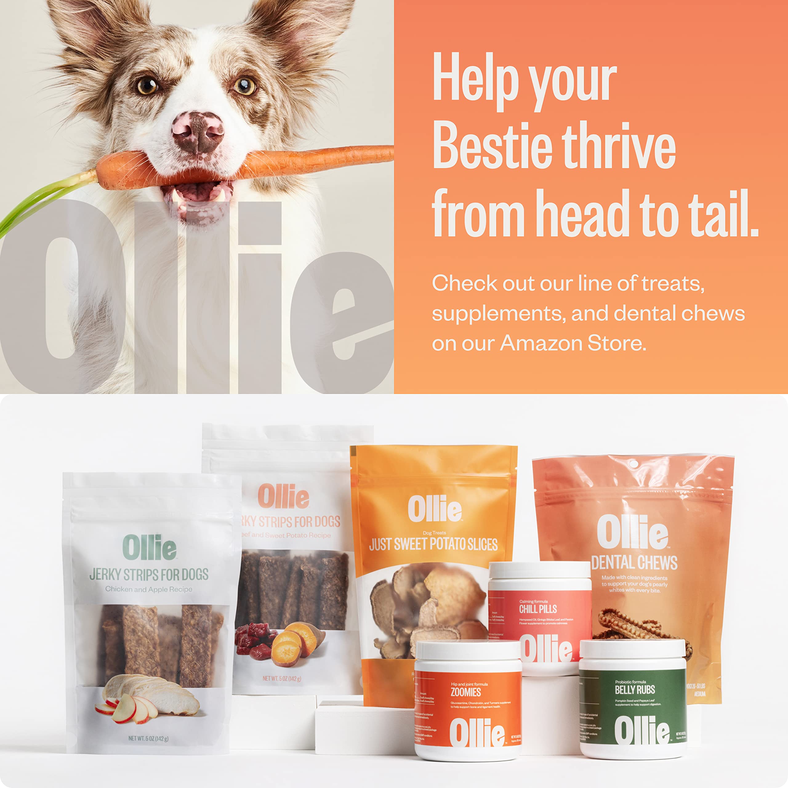 Ollie Dental Chews for Large Dogs, 12 Oz, Fresh Breath, Teeth Cleaning Treats, Sticks for Dog Oral Care, with Parsley and Cinnim