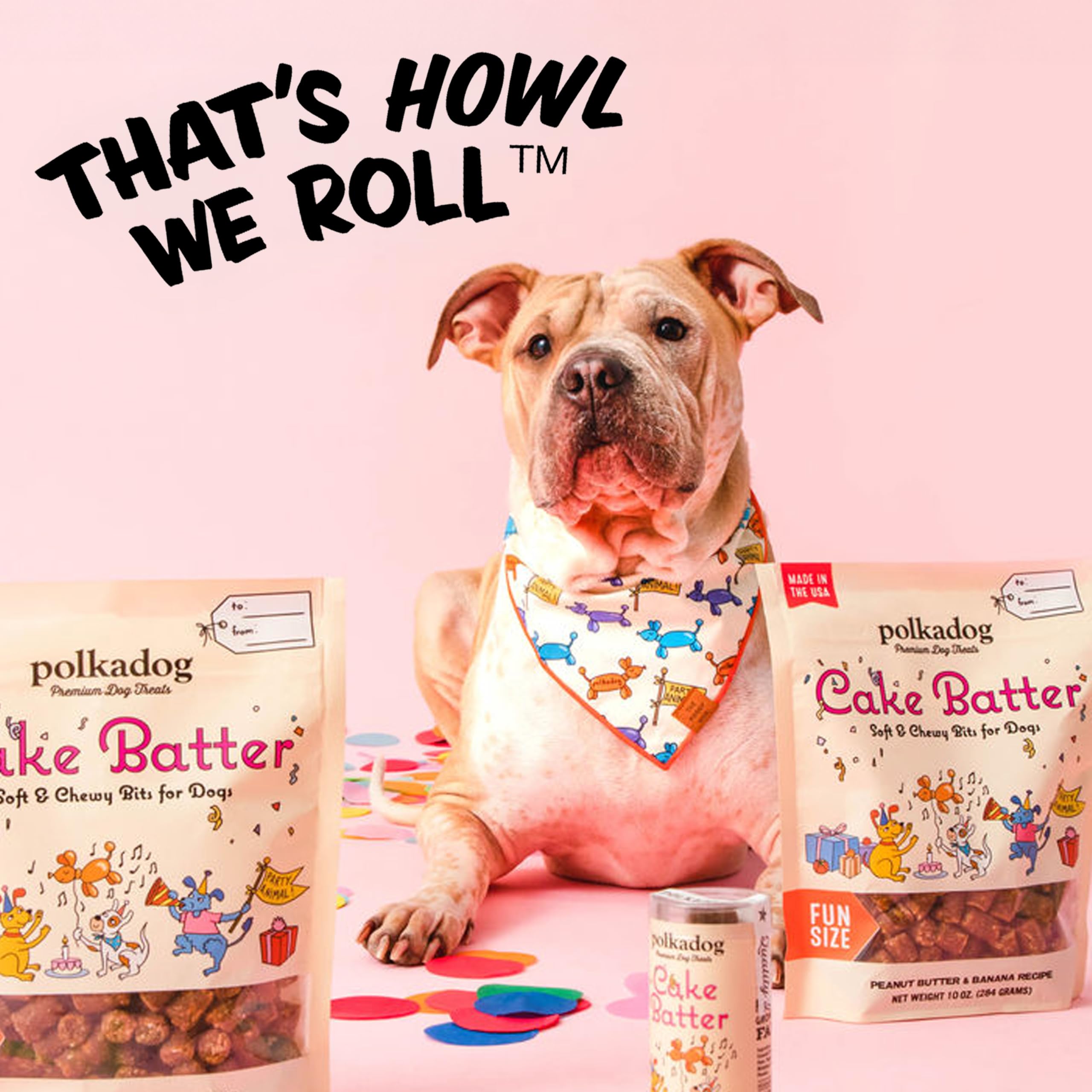 Polkadog Premium Healthy Dog Birthday Treat - Soft, Chewy & Vegan Treats - New England Peanut Butter and Banana Small Batch Reci