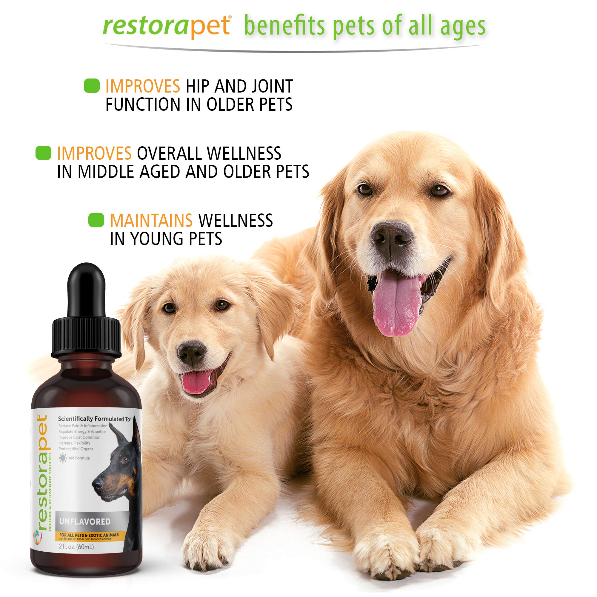 RestoraPet 1-Pack Dog & Cat Beef Liquid Multivitamin | Dog Arthritis Pain Relief | Hip & Joint Vitamins for Dogs - Anti Inflamma