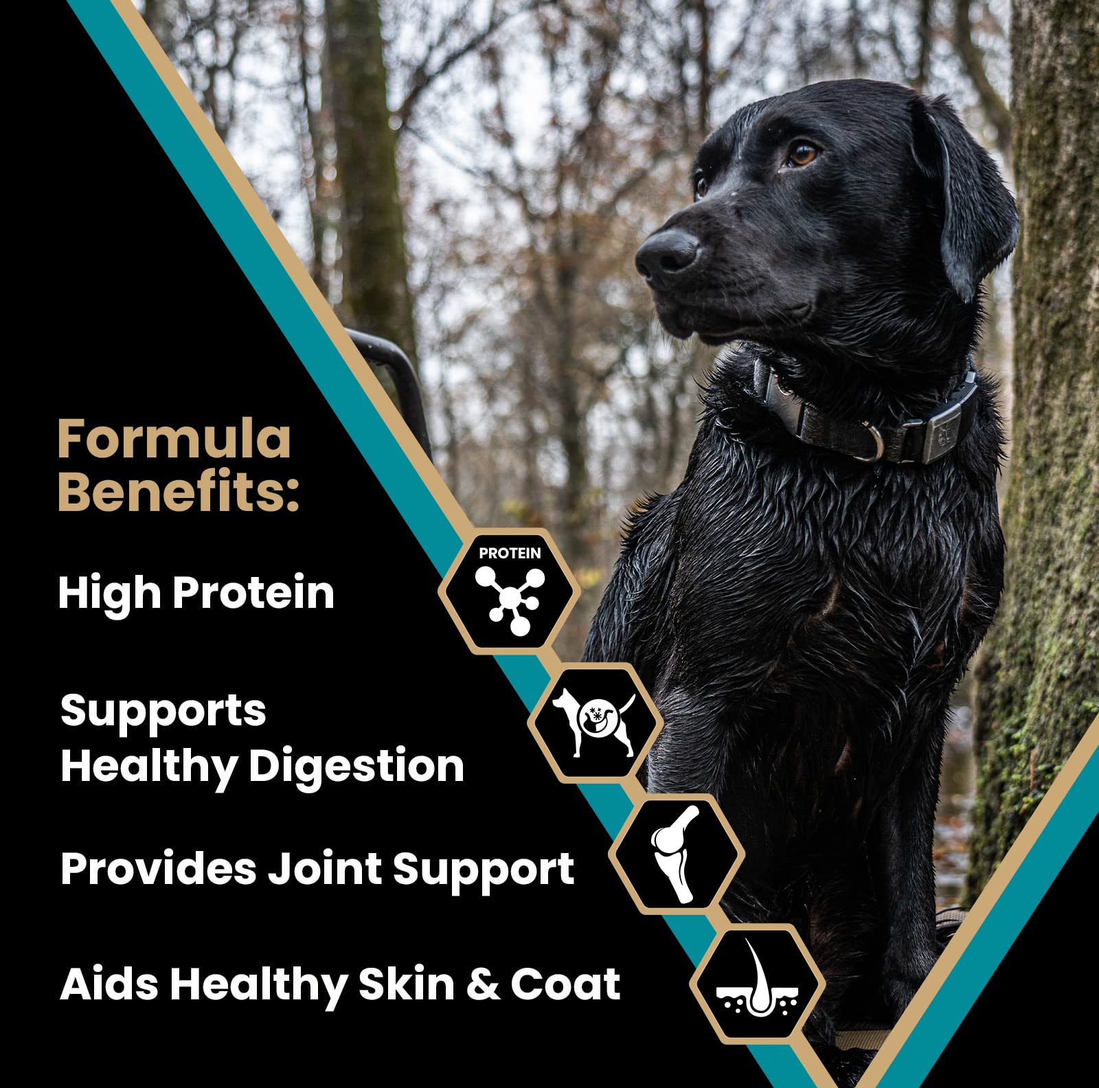 Victor Super Premium Dog Food - Realtree MAX-5 PRO Dry Dog Food - 30% Protein, Gluten Free for Active Adult Dogs, 40lb