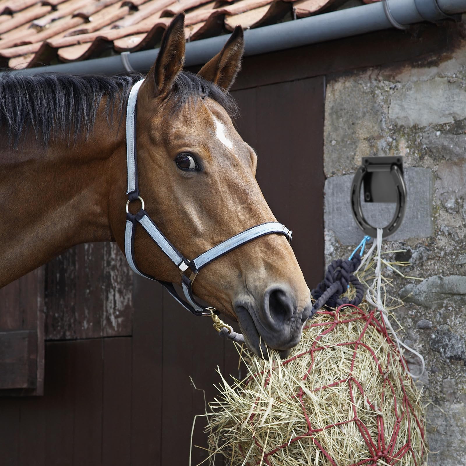 Zhengmy 2 Set Tie Ring For Horses Solid Steel With 3 X 3 Inch Expansion Screws, Horseshoe Cross Ties Down For Horse Tack Stall S