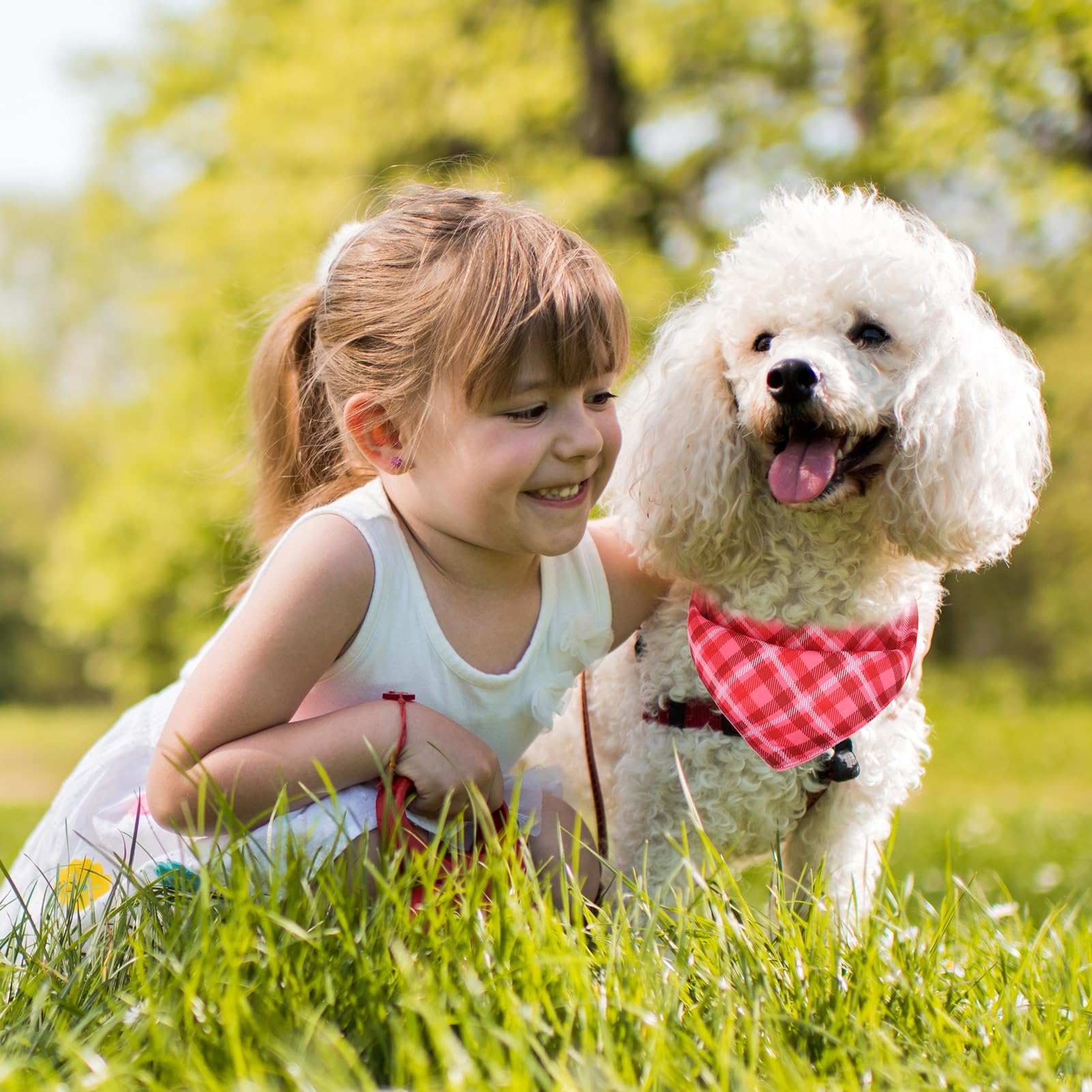 Pawchie Dog Bandanas Small Reversible Styles Pet Triangle Scarf Bibs - Adjustable With Two Snaps - Kerchief Set Accessories For