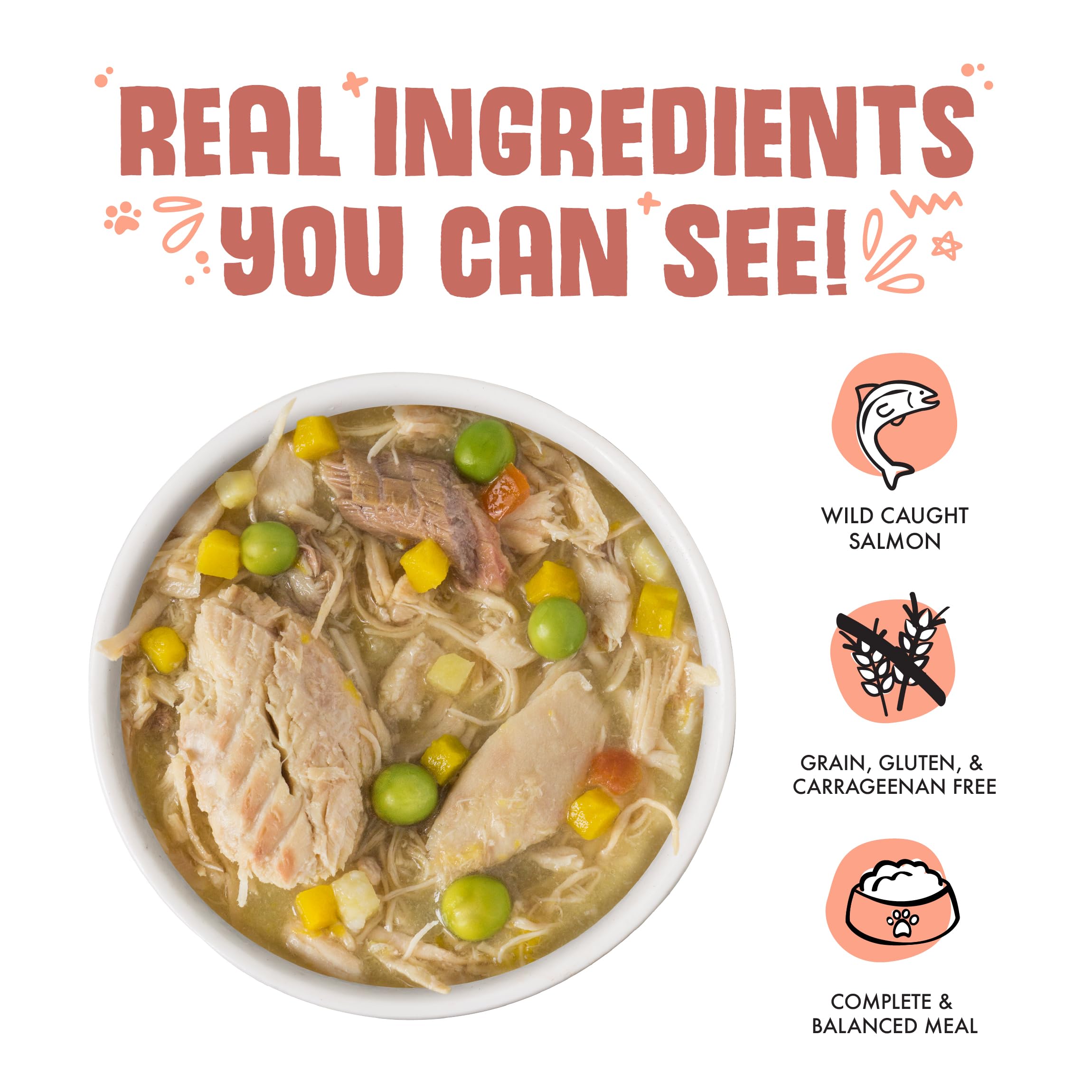 Weruva Classic Dog Food, Jammin Salmon with Chicken & Salmon in Gravy, 14oz Can (Pack of 12), Red (Jammin Salmon)