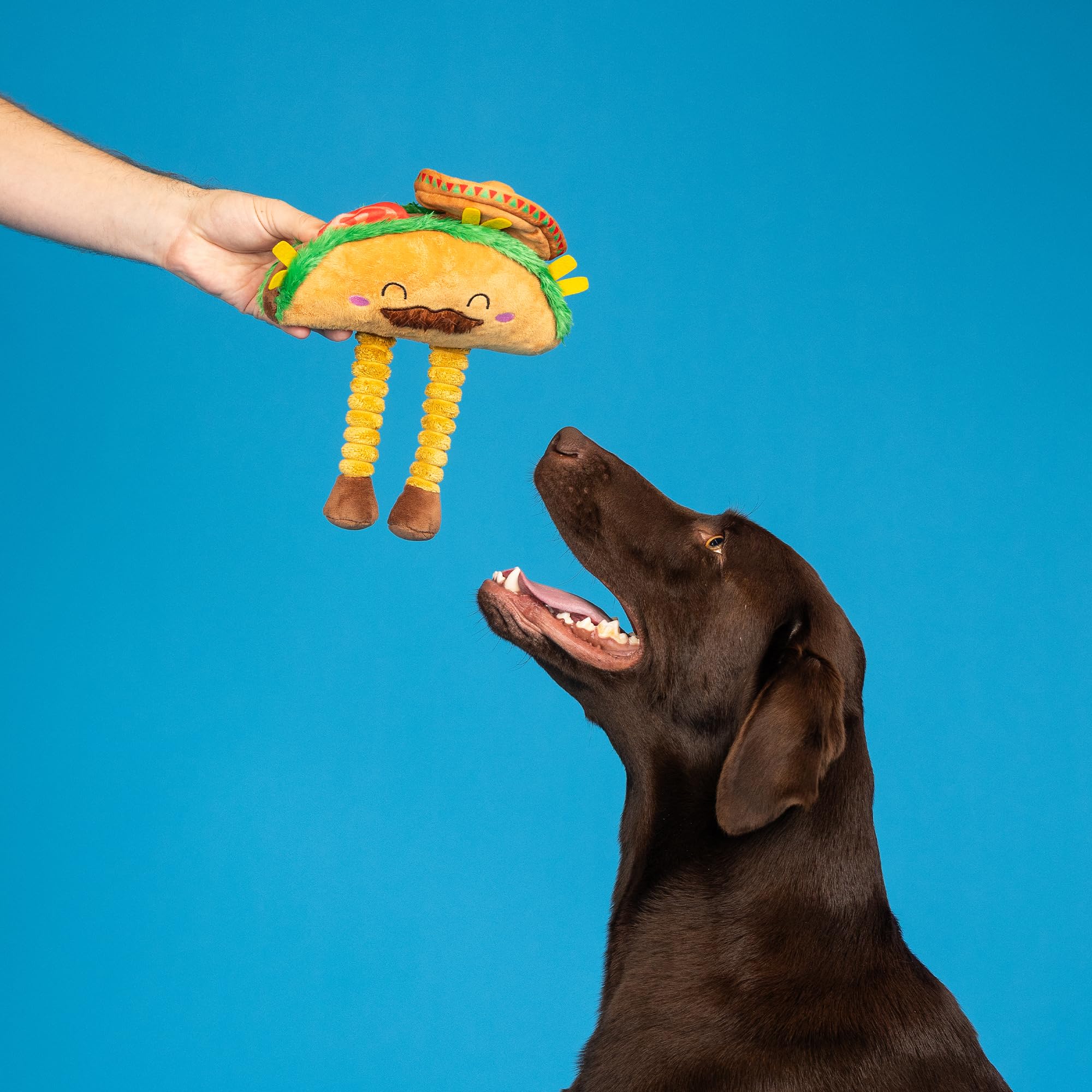 Fringe Studio Plush Dog Toy, Spicy Sidekick, Pet Shop Collection (314532)