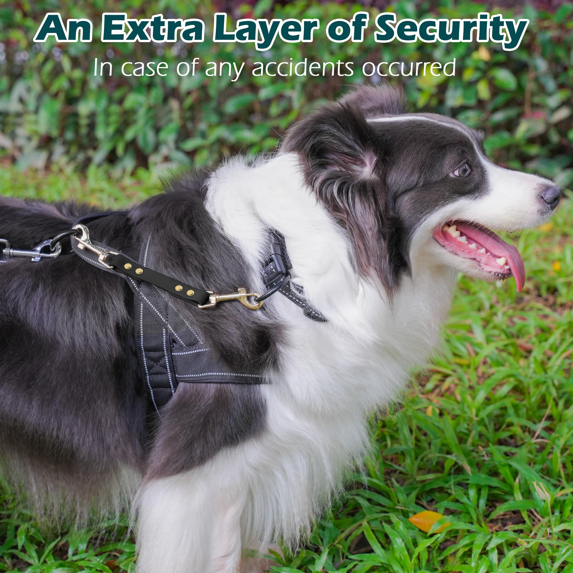 Petbonus Dog Collar Safety Clip, Waterproof Backup Safety Strap For Dog Harness To Prong Collar, Odor Proof Double Ended Clasp L