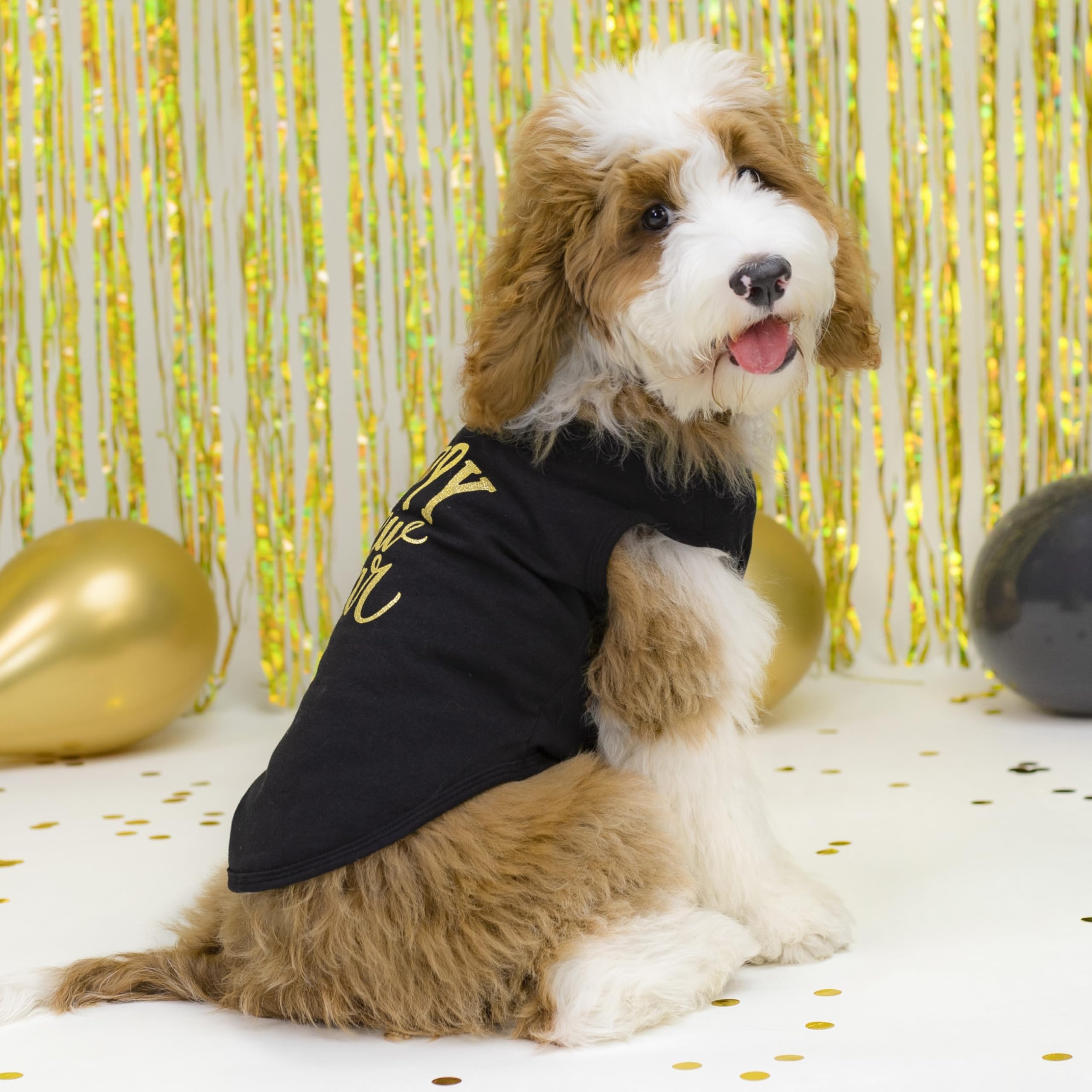 Fitwarm Happy New Year Dog Shirt, Holiday Dog Clothes For Small Dogs Boy Girl, Funny Pet Christmas Outfit, Black, Gold, Medium