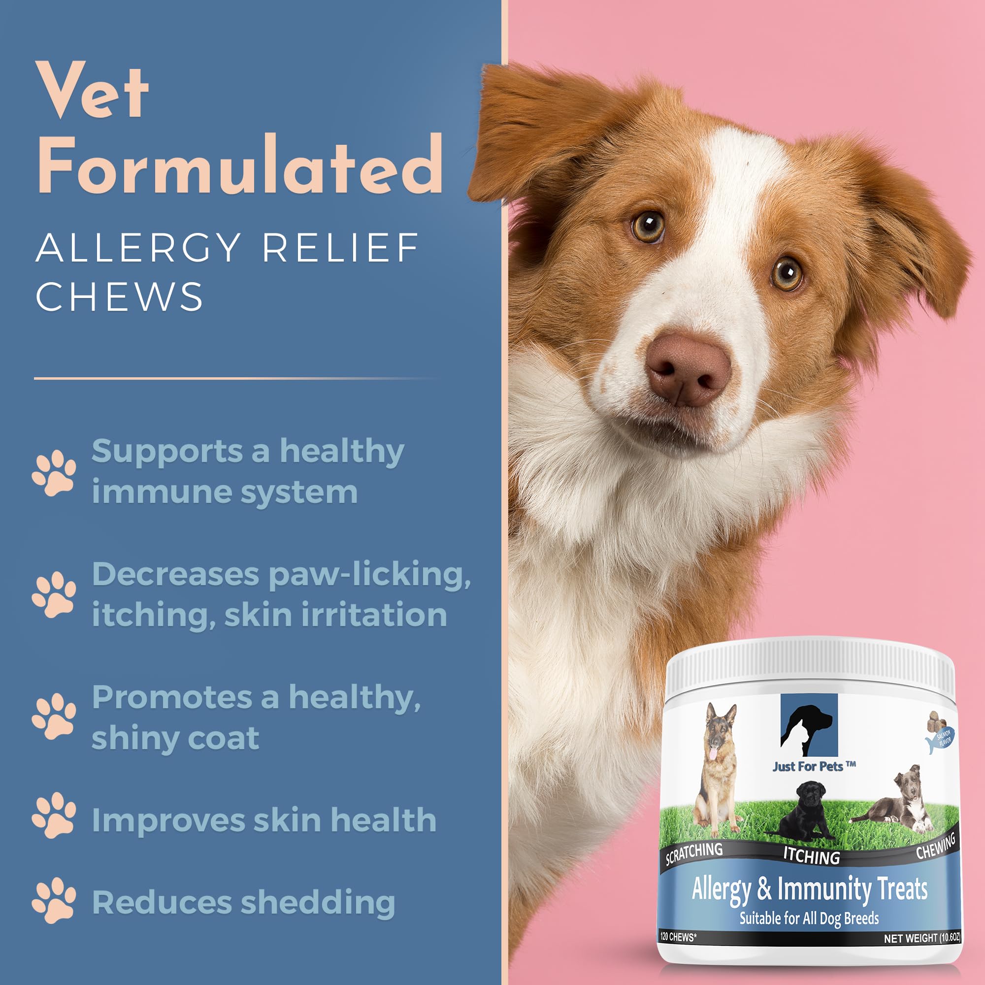 Dog Allergy Relief Chews - Itching Skin Relief with Probiotics and Turmeric for Dogs - Itchy Skin, Hot Spots, Paw Licking, Aller