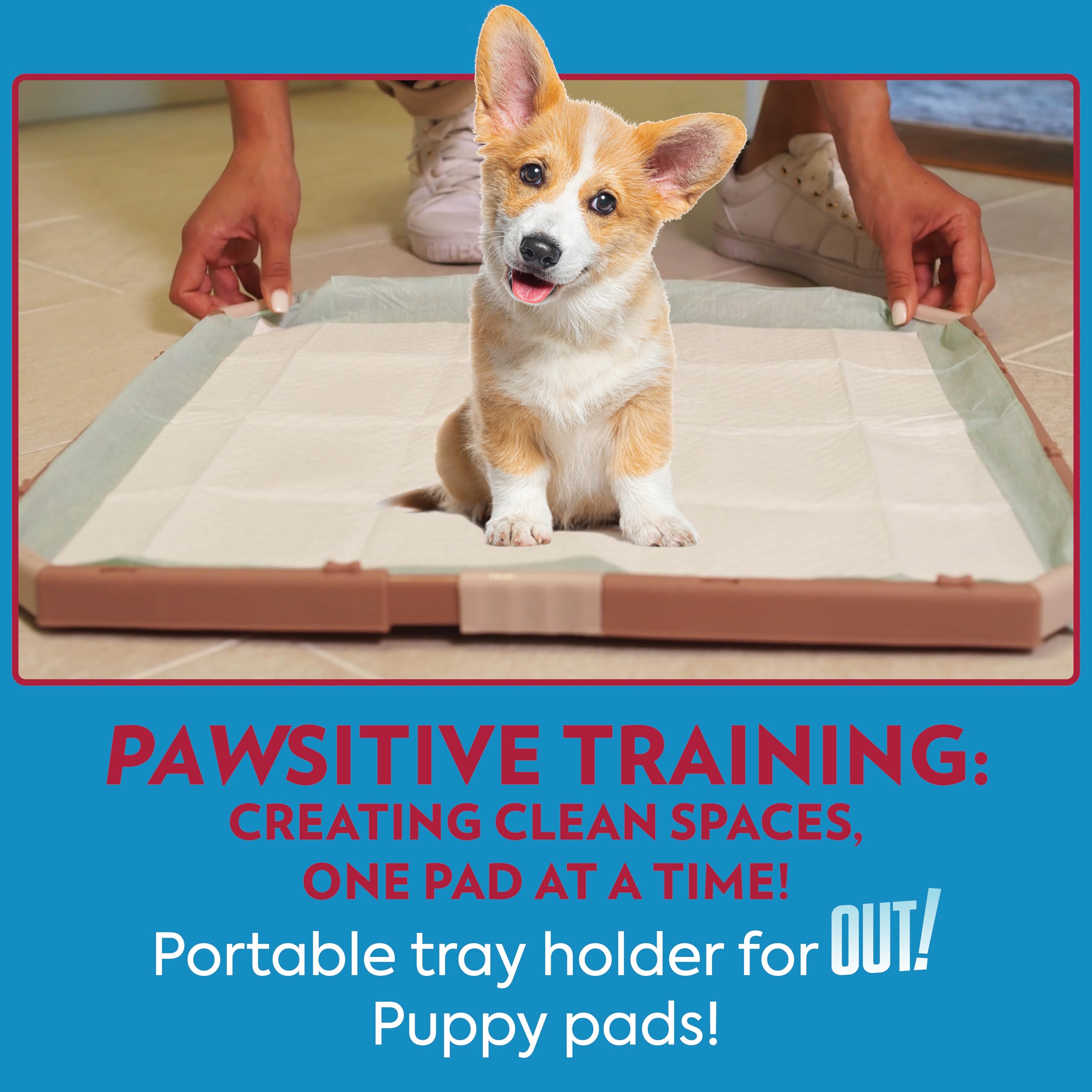 Out! Training Pad Holder For Pets, Fits Pads 21 By 21-Inch