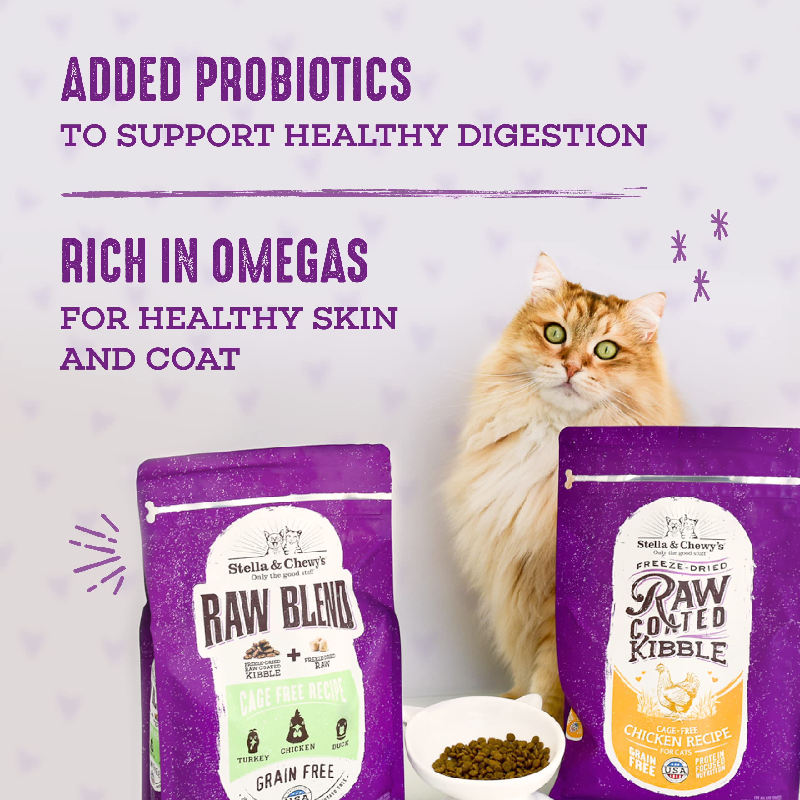Stella & Chewys Raw Blend Premium Kibble Cat Food - Grain Free, Protein Rich Meals - Cage-Free Poultry Recipe - 2.5 lb. Bag