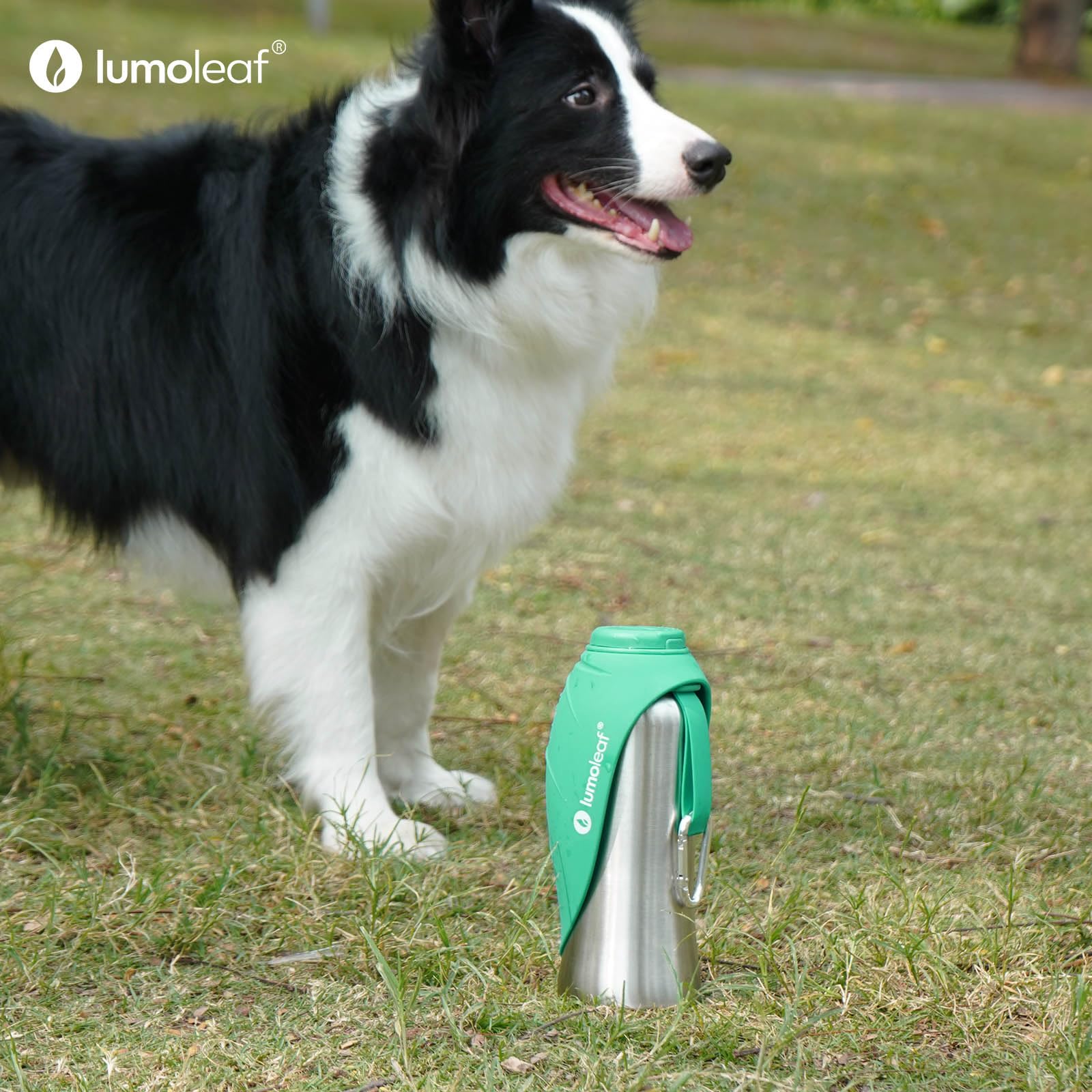 LumoLeaf Portable Dog Water Bottle 27oz - Stainless Steel Dispenser for Large Dogs, Green, Model LLDWB27B