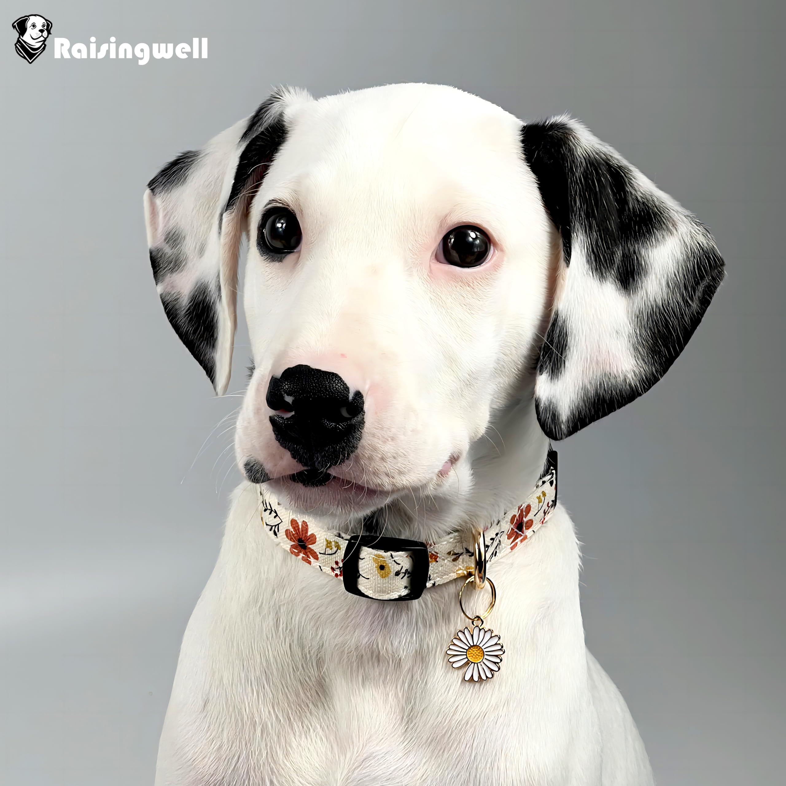 Raisingwell Cotton Dog Collar Beige Flower Pattern For Boys And Girls Cute Dog Collars Summer Fall Gift Adjustable For Medium To