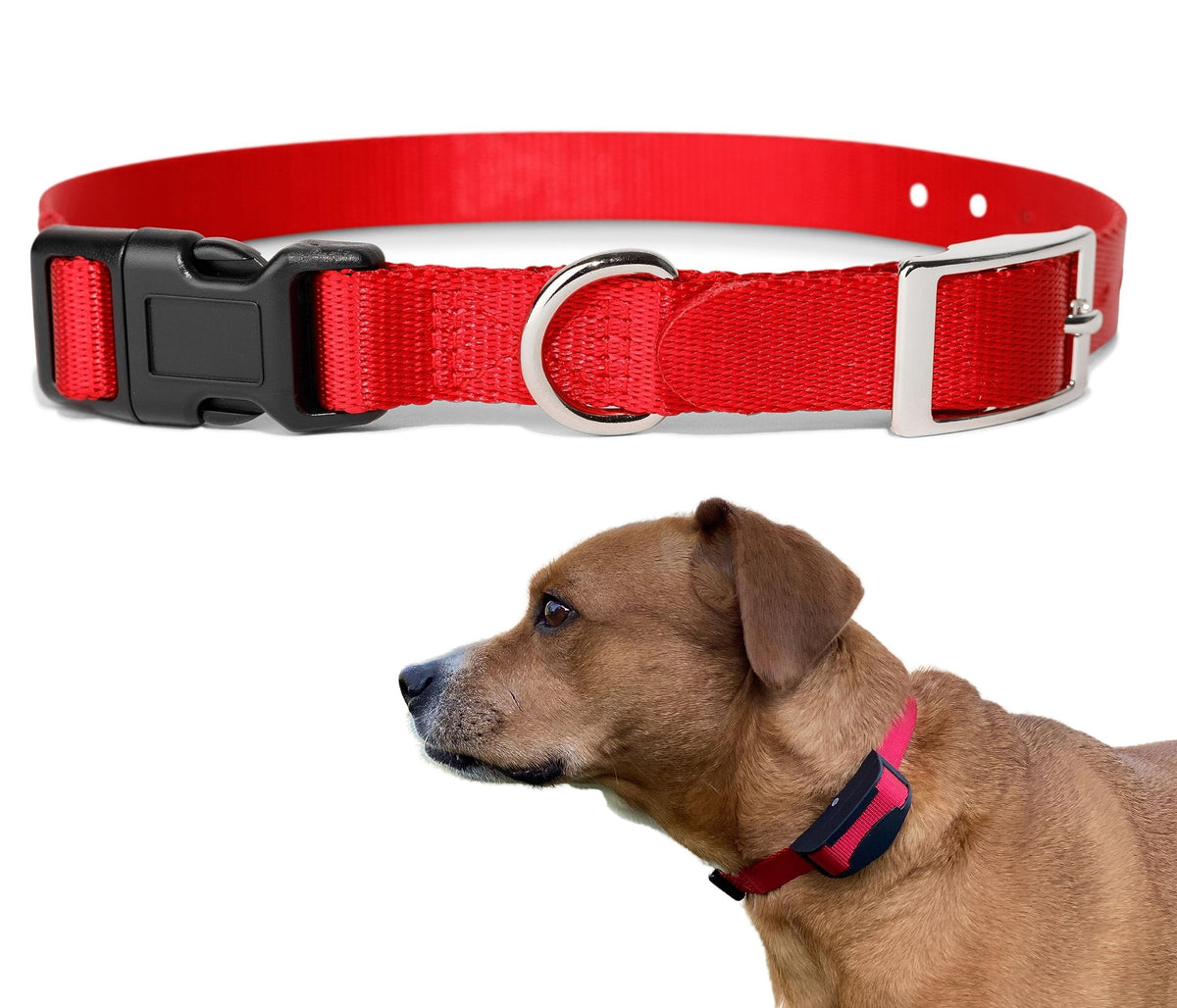 E-Collar Replacement Strap - Shock Replacement Collar For Fence, Compatible With Most Brands (1'', Red