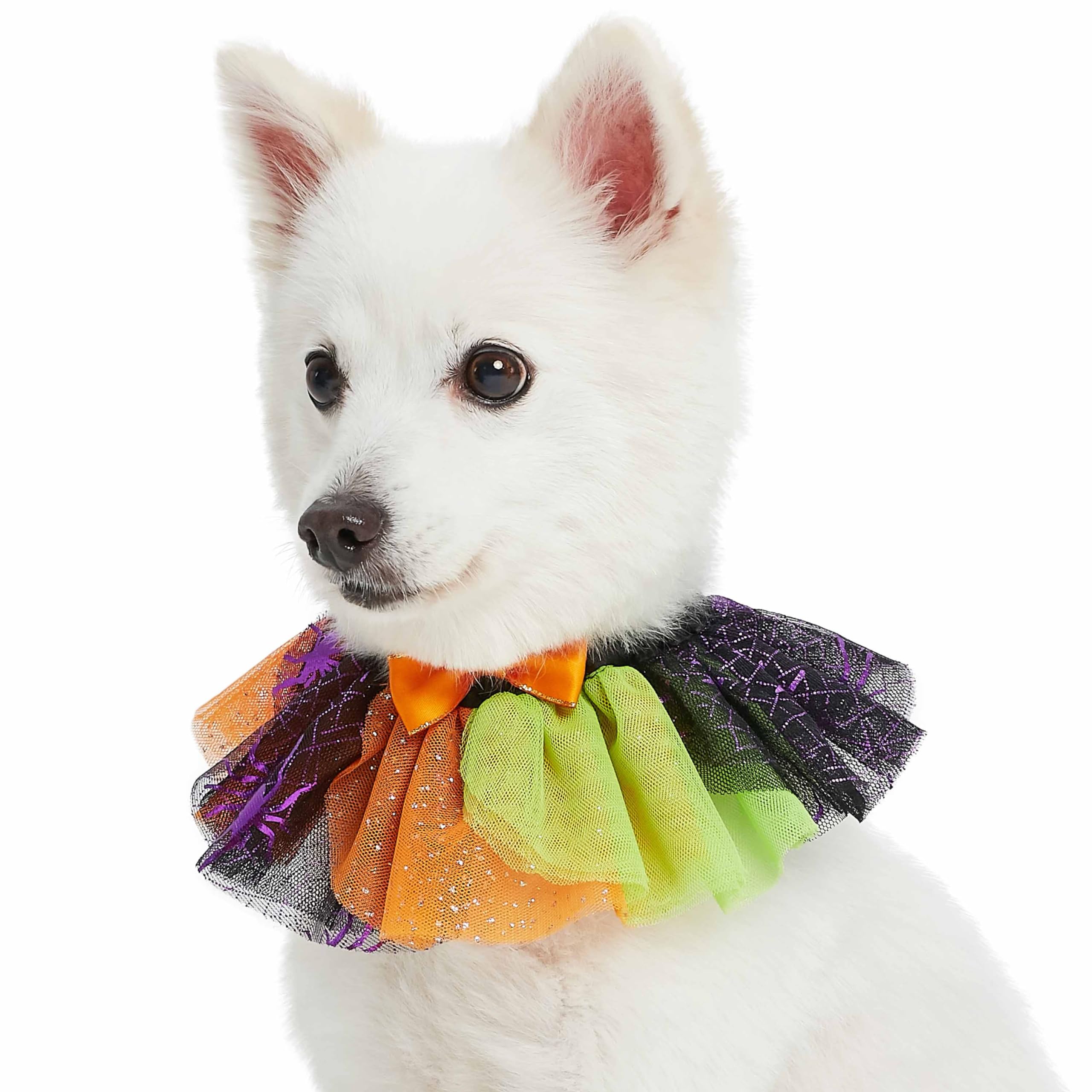 Blueberry Pet Halloween Party Adjustable Breakaway Costume Dog Collar In Cool Tone, Medium