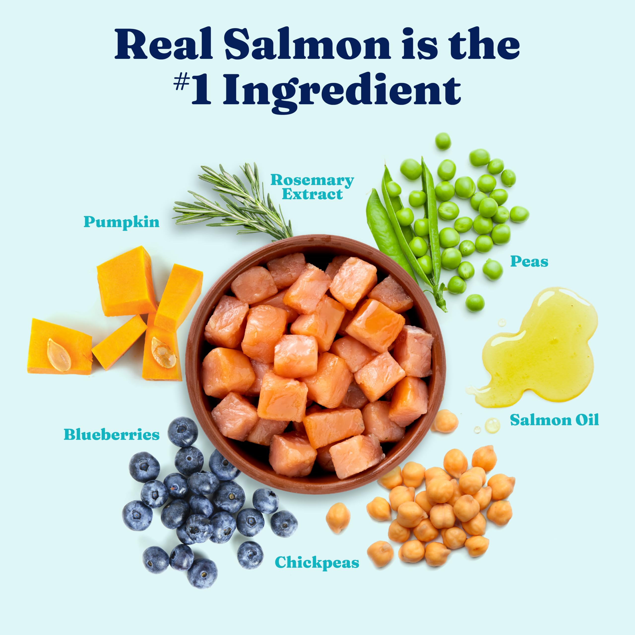 Solid Gold Salmon Dog Food for Sensitive Stomachs - Grain Free & Gluten Free Kibble w/Probiotics to Support Gut Health & Digesti