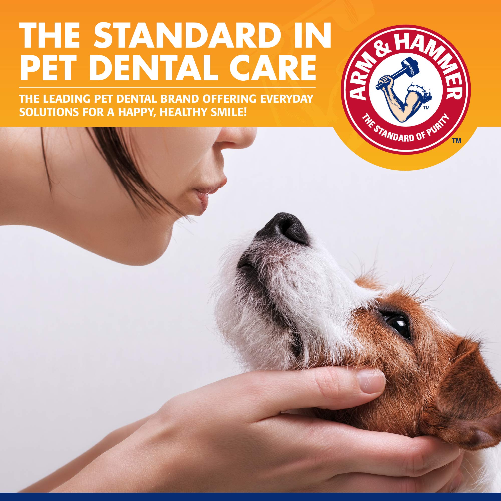 Arm & Hammer for Pets Tartar Control Enzymatic Toothpaste for Dogs Reduces Plaque & Tartar Buildup Safe for Puppies Beef Flavor,