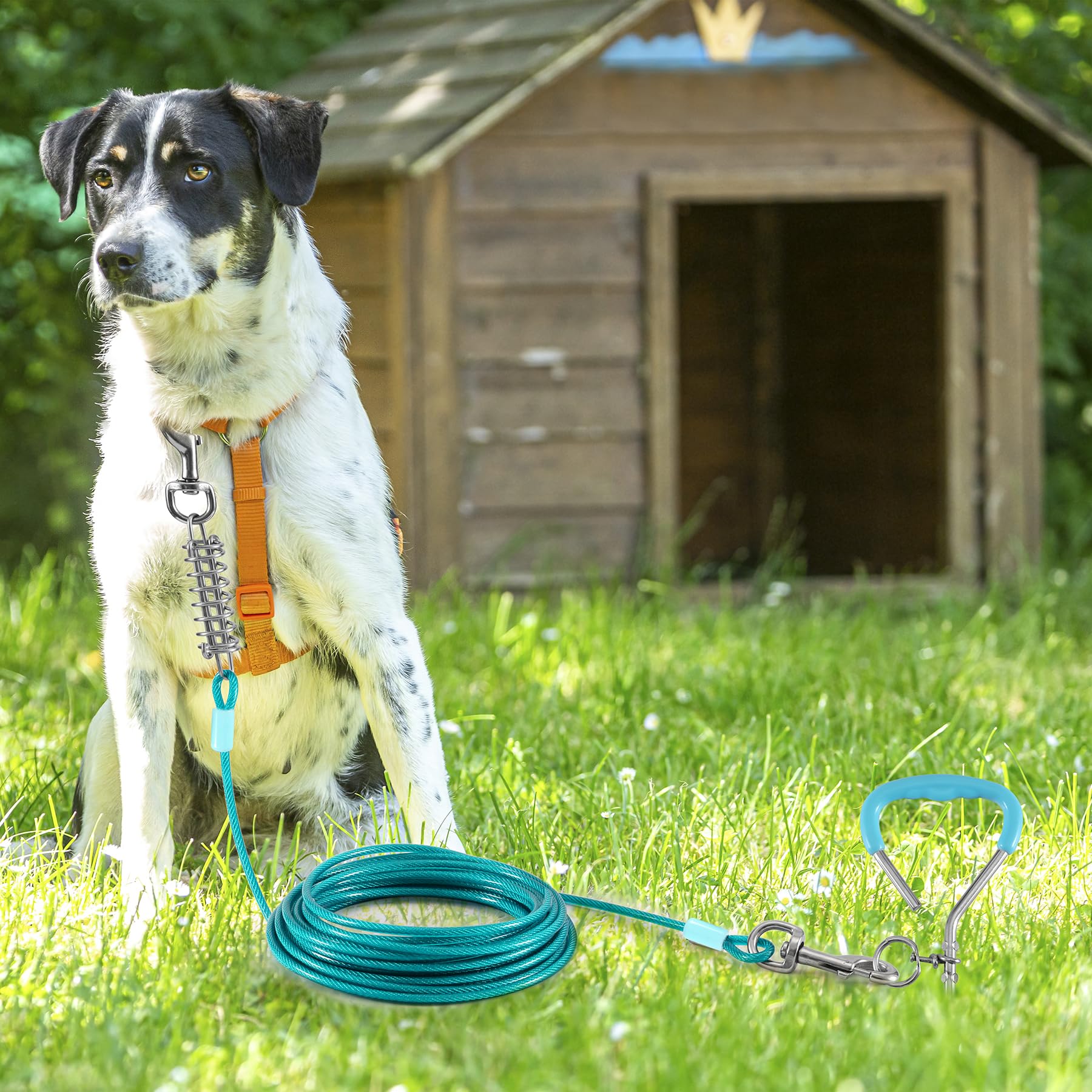 Dog Tie Out Cable And Stake,40Ft Outside Dog Run Cable Leash&Chain With Shock Spring For Camping And Yard, 16'' Heavy Duty Anti