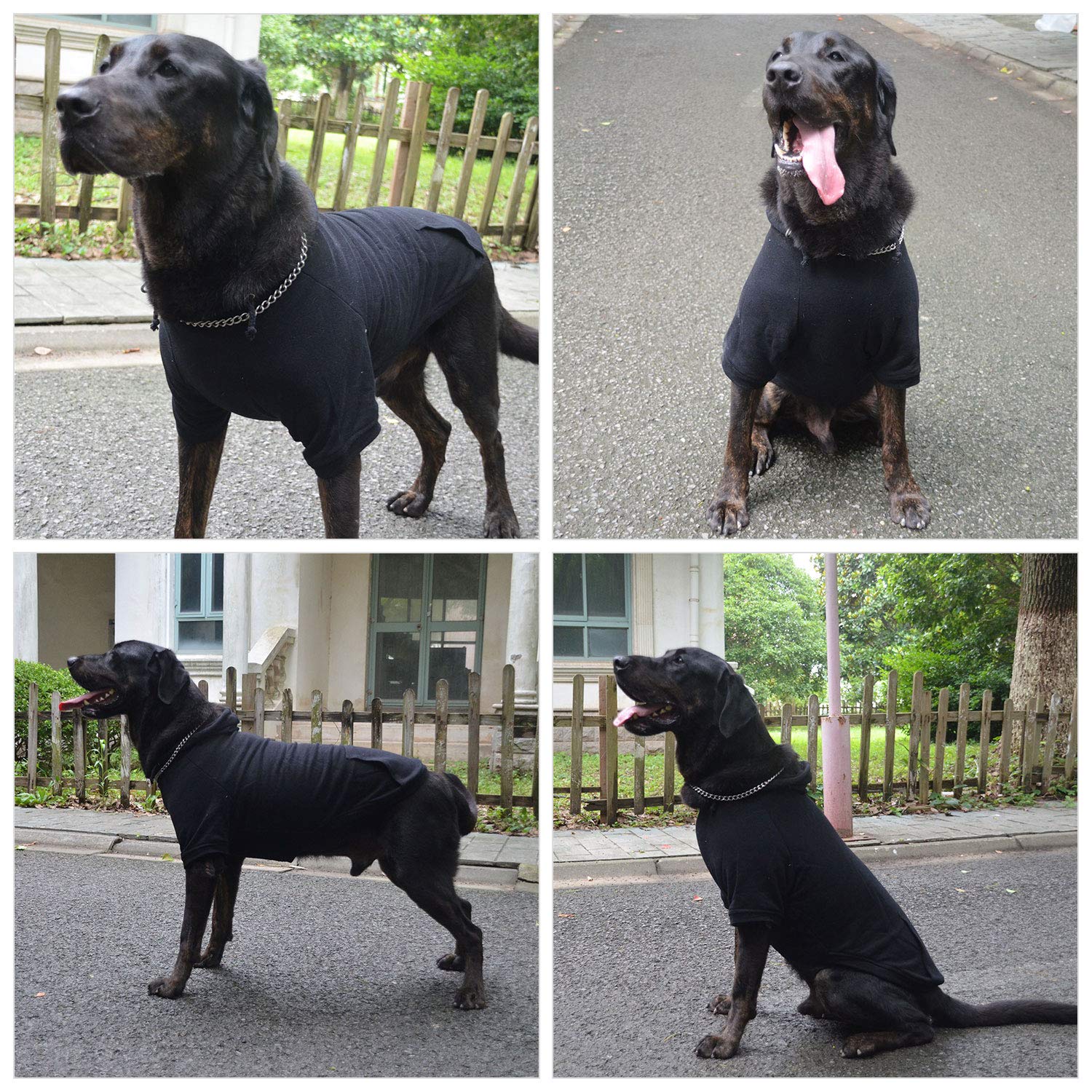 Lovelonglong Pet Clothing Clothes Dog Coat Hoodies Winter Autumn Sweatshirt For Small Middle Large Size Dogs 11 Colors 100% Cotton 2018 New (S, Sky-Blue)