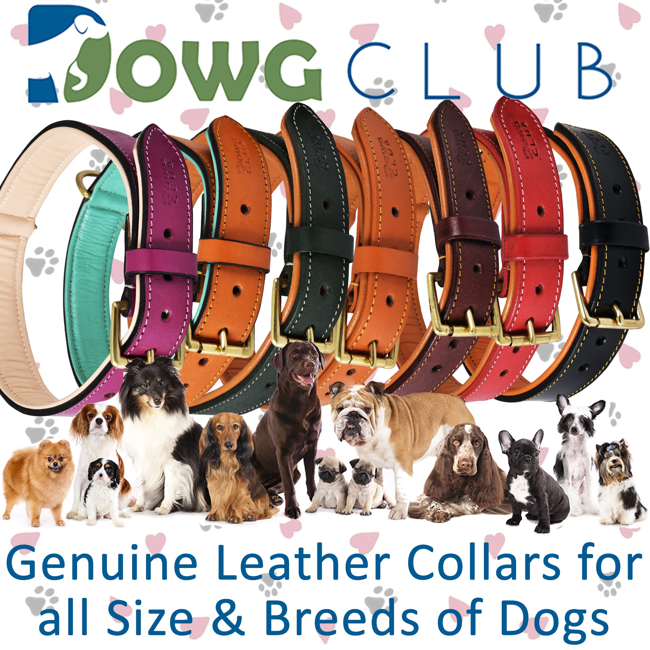 Dowgclub | Genuine Leather Dog Collar | Full Grain, Heavy Duty | Padded, Comfortable, Strong | Best For Pups, Small, Medium, Large, X- Large Dog Breeds, (Medium (Fit Neck Size 14.5'-18.5'), Black)