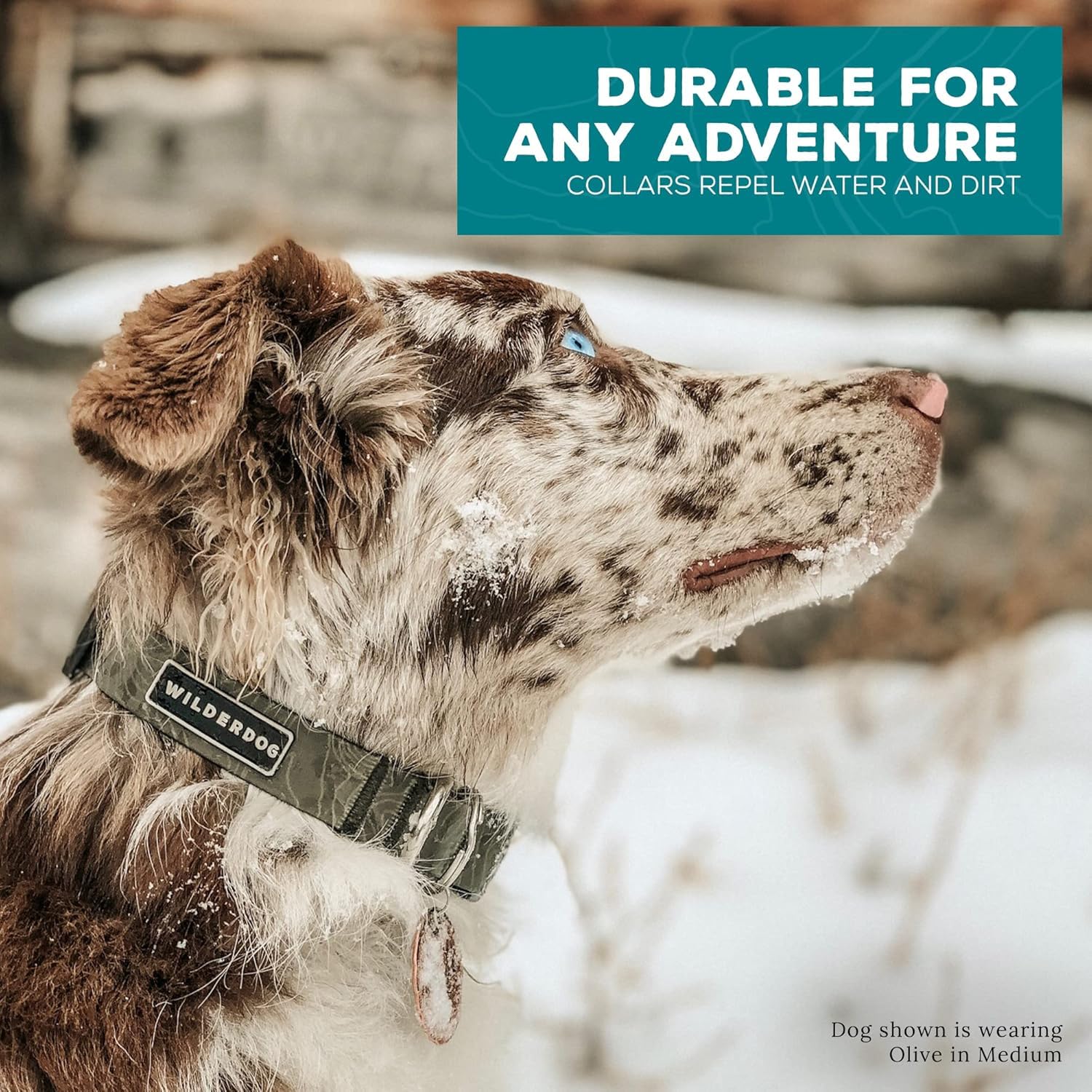 Wilderdog Waterproof Dog Collar - Repels Water & Dirt - Small 11''-15'' - Olive